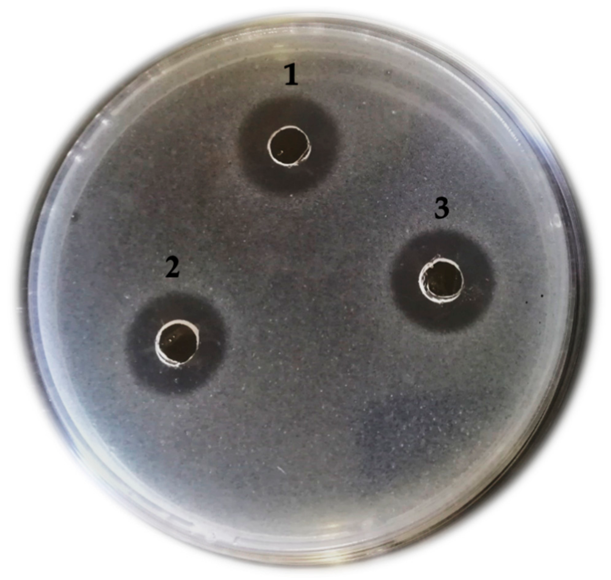 Fermentation 07 00089 g001 Fermentation 07 00089 g001