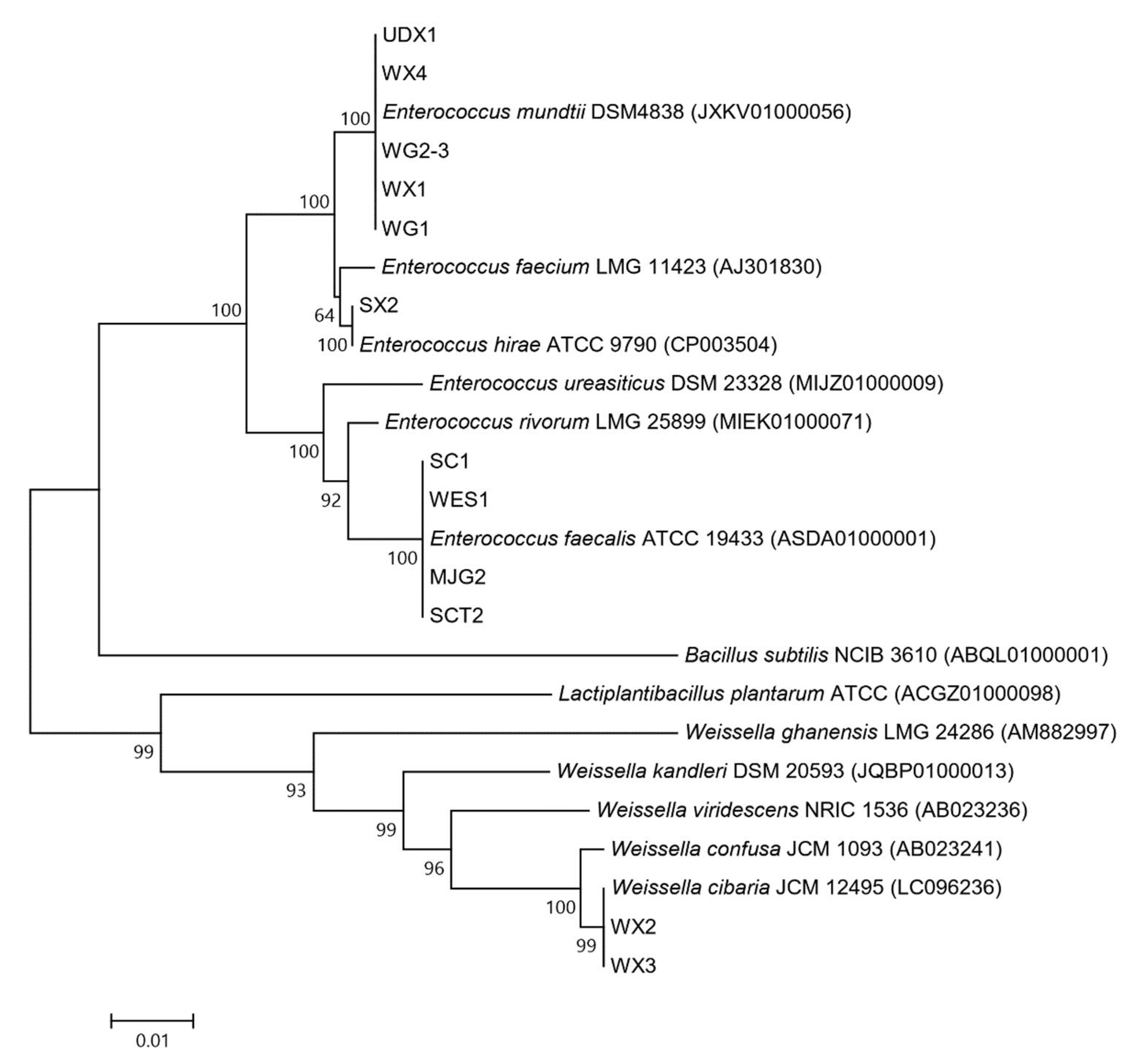 Fermentation 07 00095 g003 Fermentation 07 00095 g003