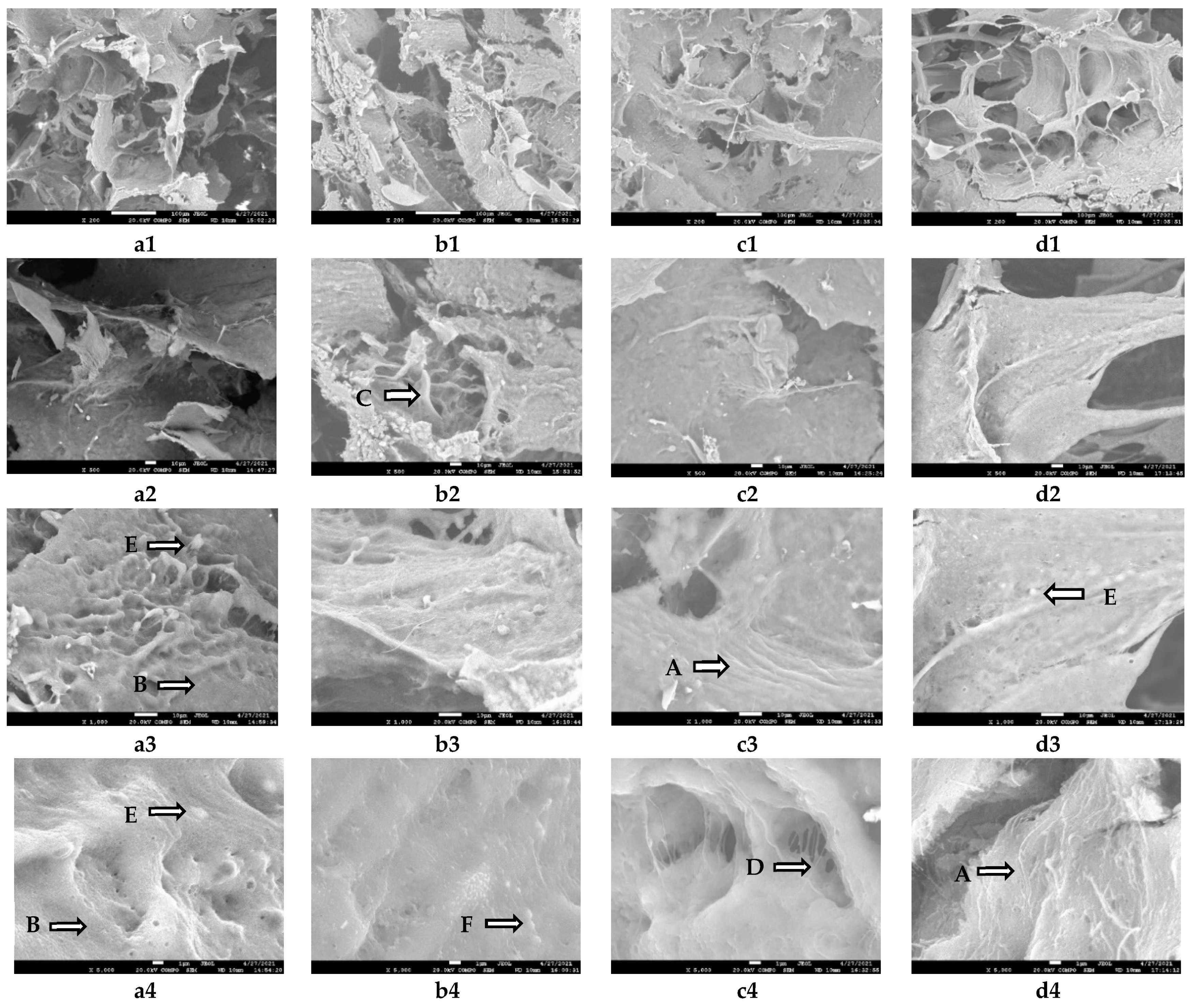 Fermentation 07 00122 g007