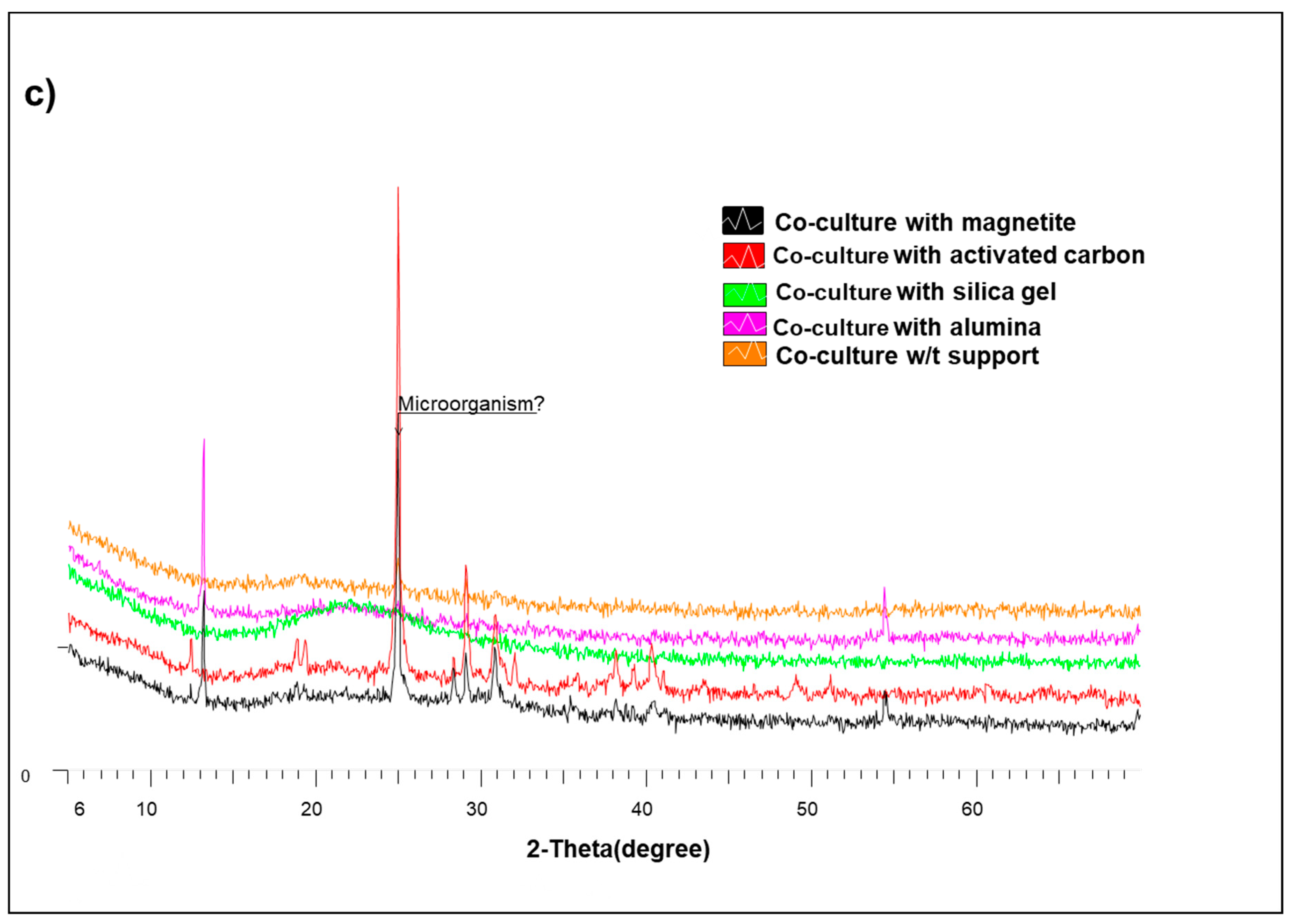 Fermentation 07 00154 g002b