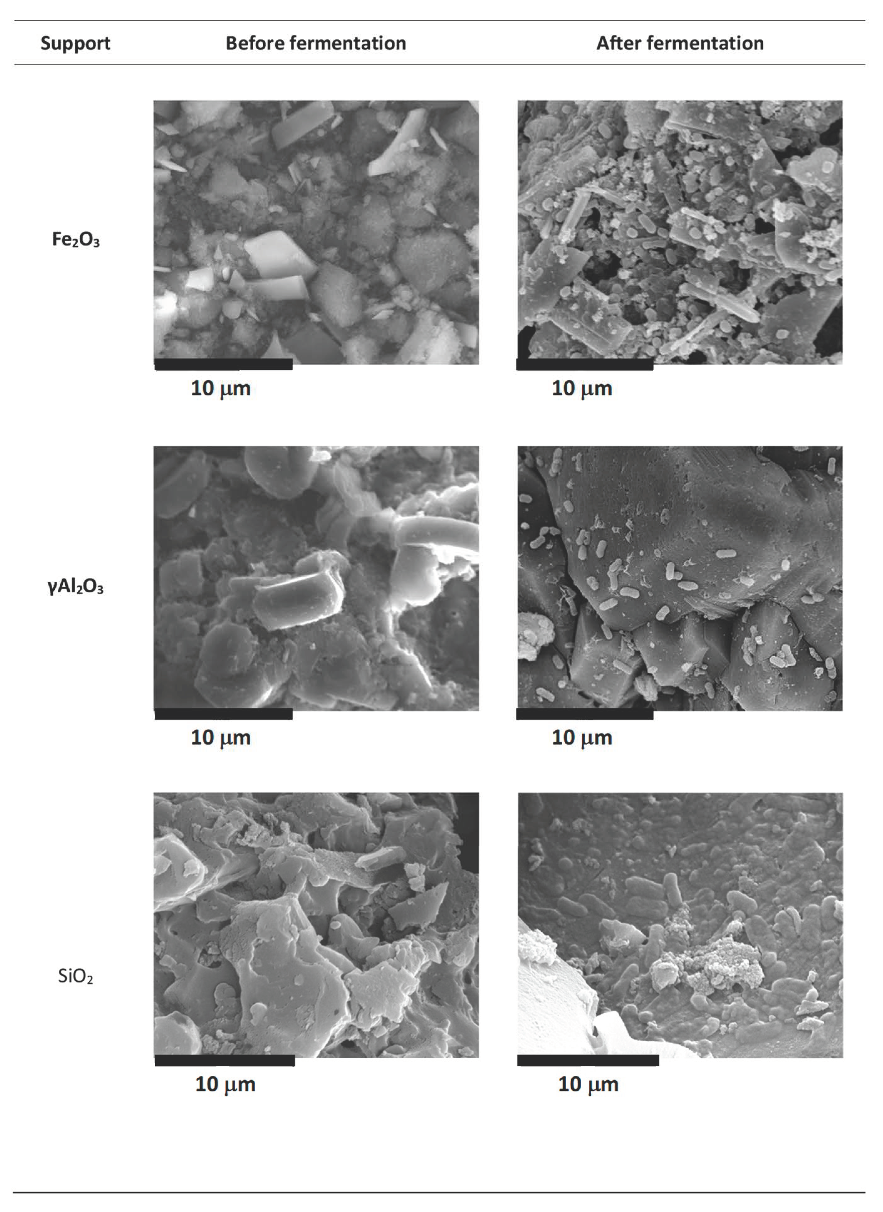 Fermentation 07 00154 g003a