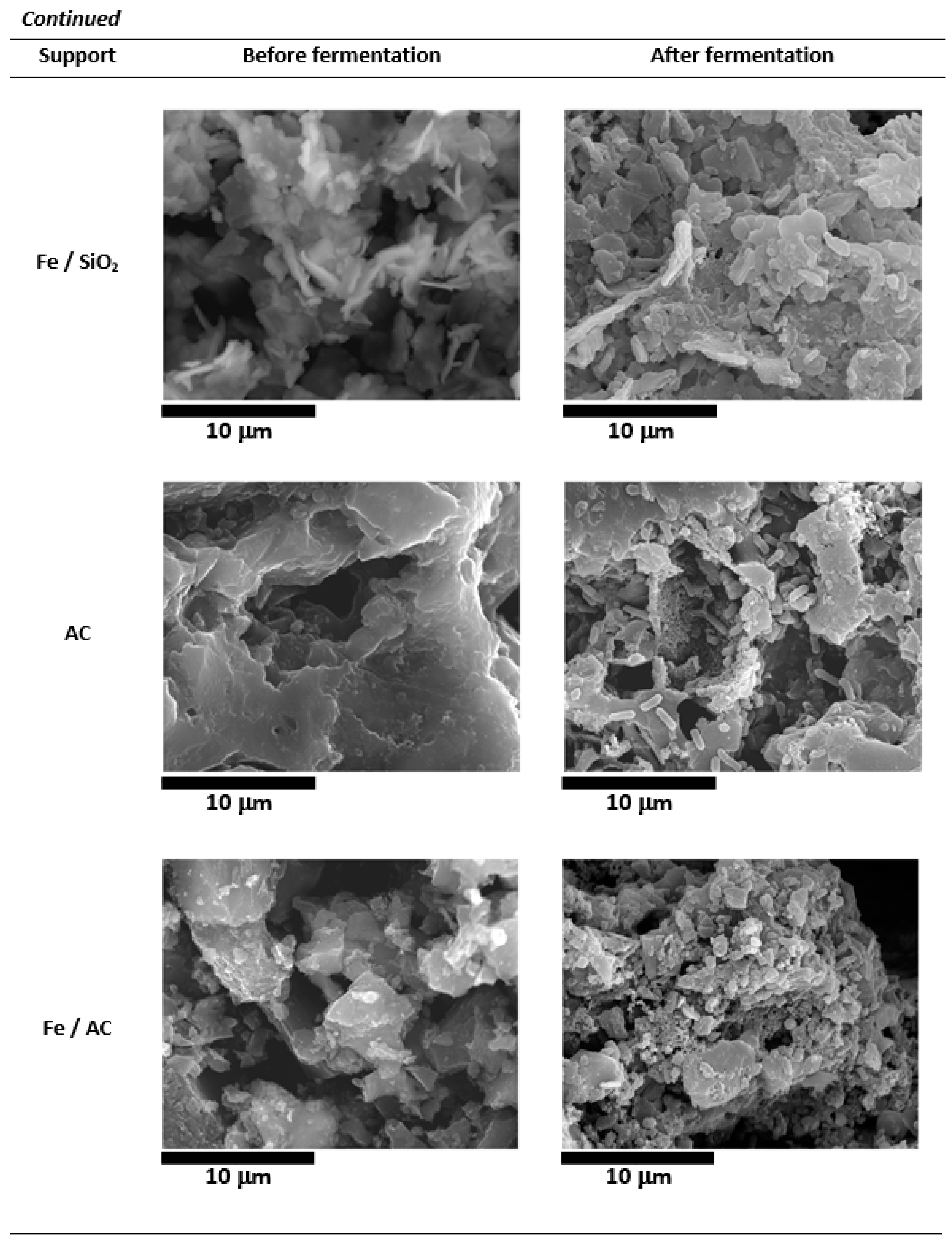 Fermentation 07 00154 g003b