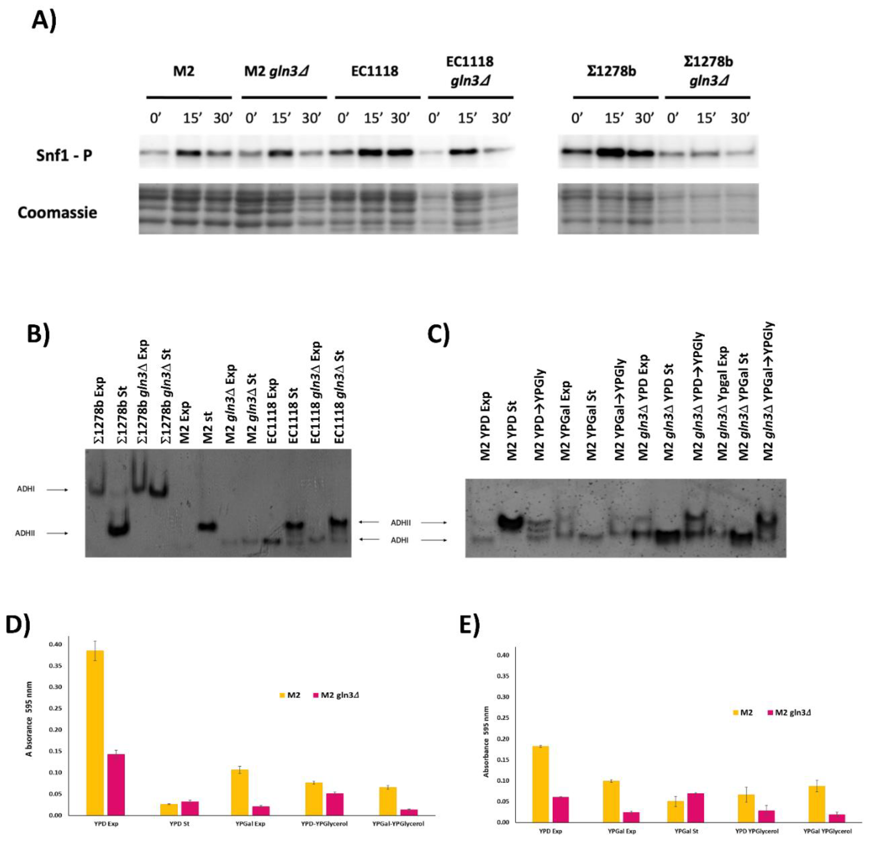 Fermentation 07 00181 g005