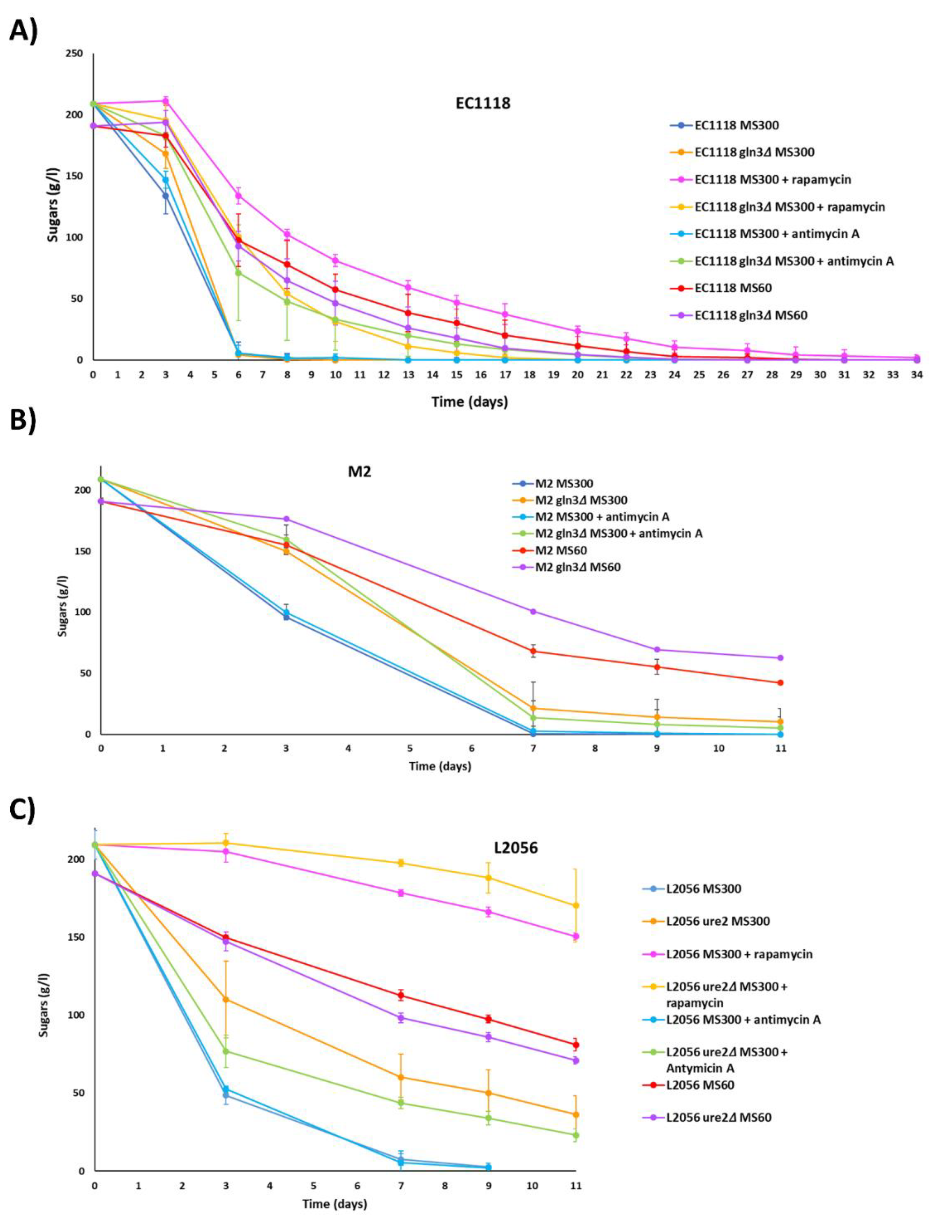Fermentation 07 00181 g006