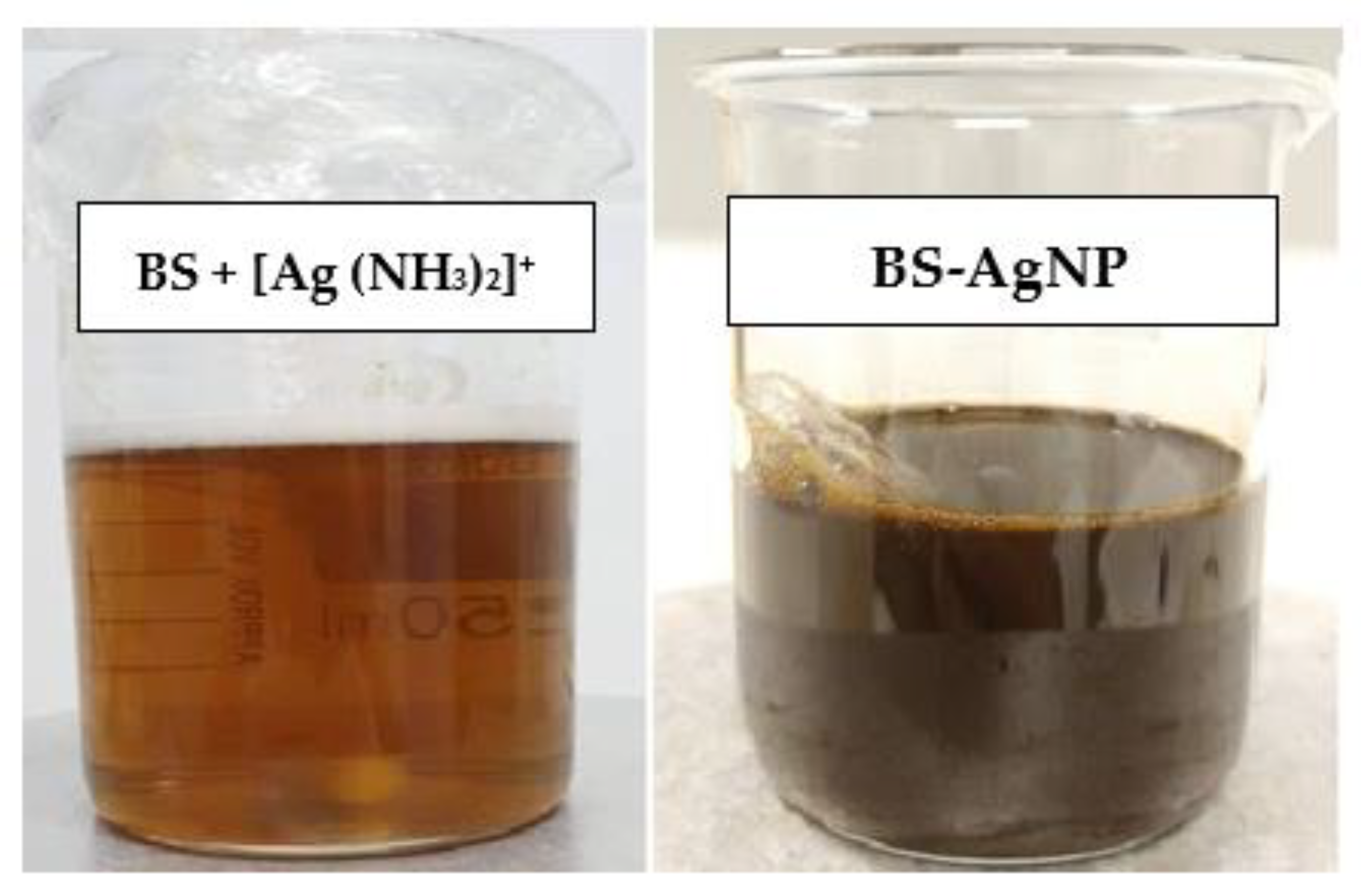 Fermentation 07 00233 g001