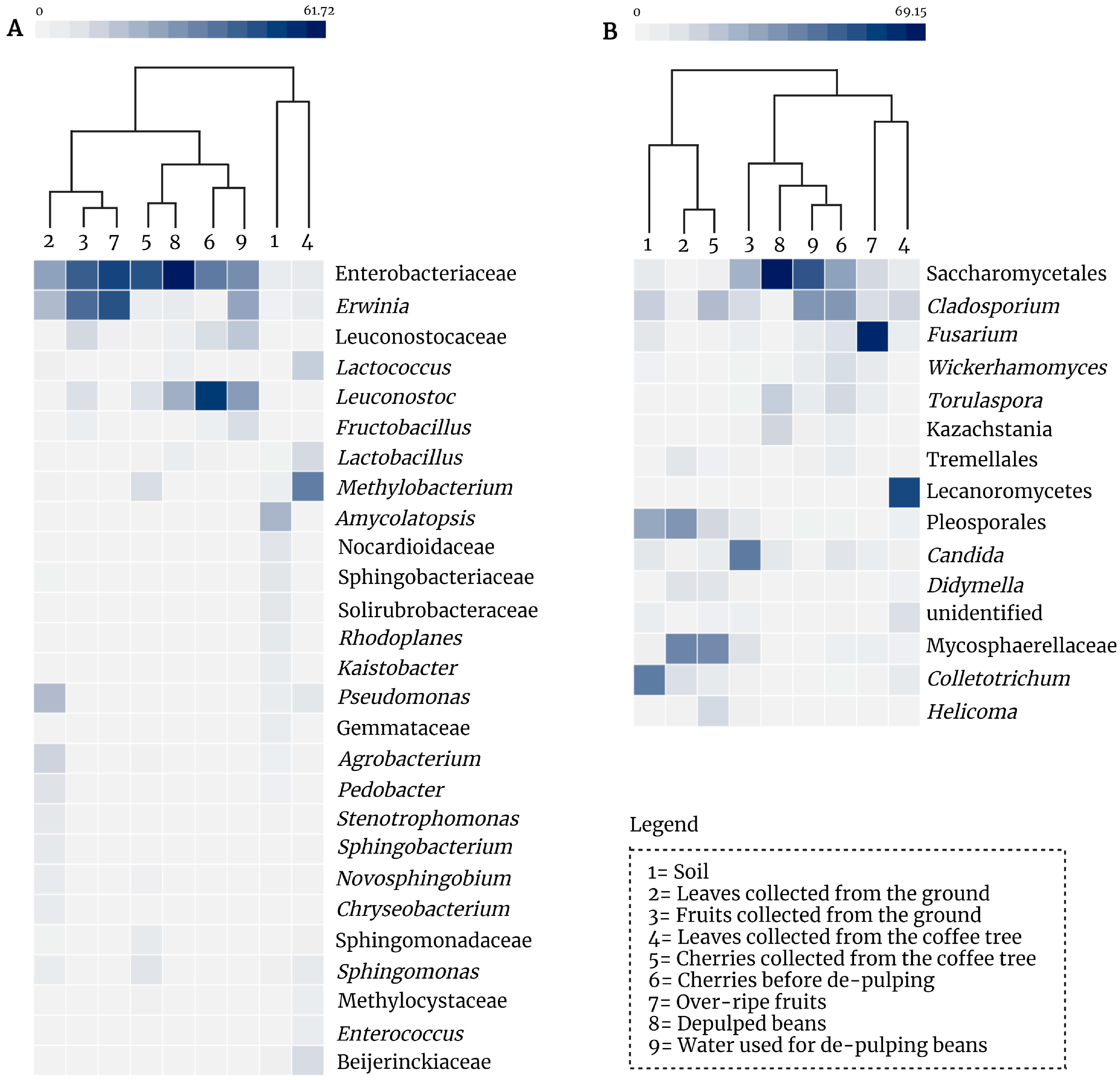 Fermentation 07 00278 g002