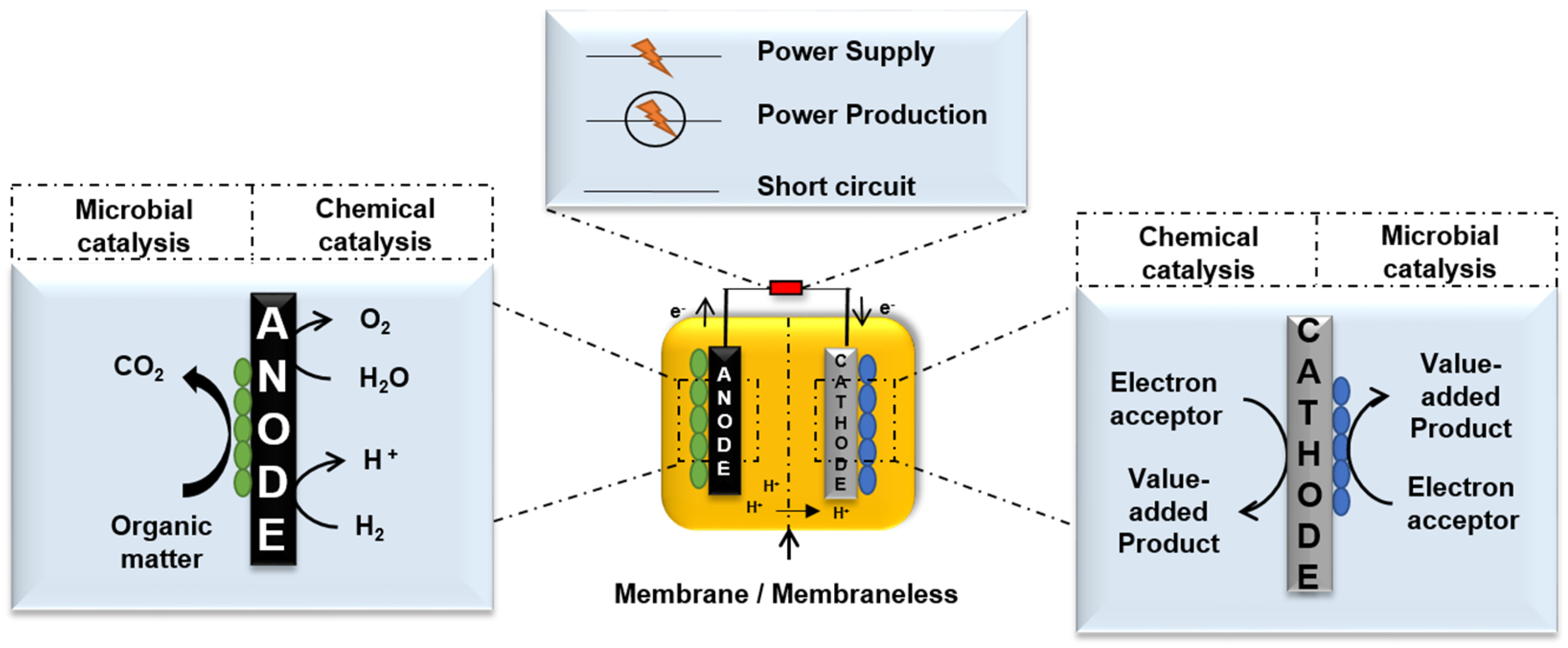 Fermentation 07 00291 g003