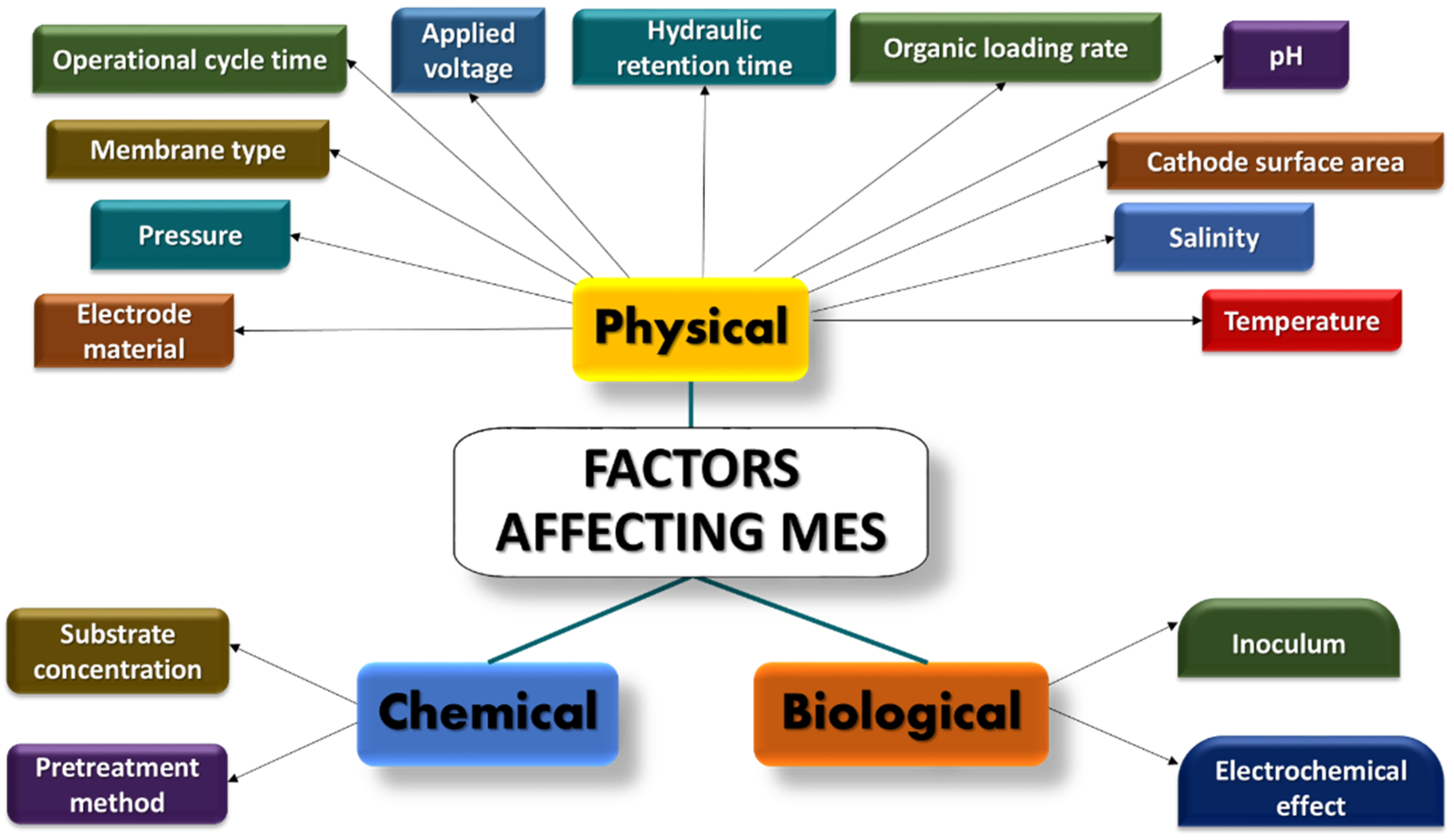 Fermentation 07 00291 g004
