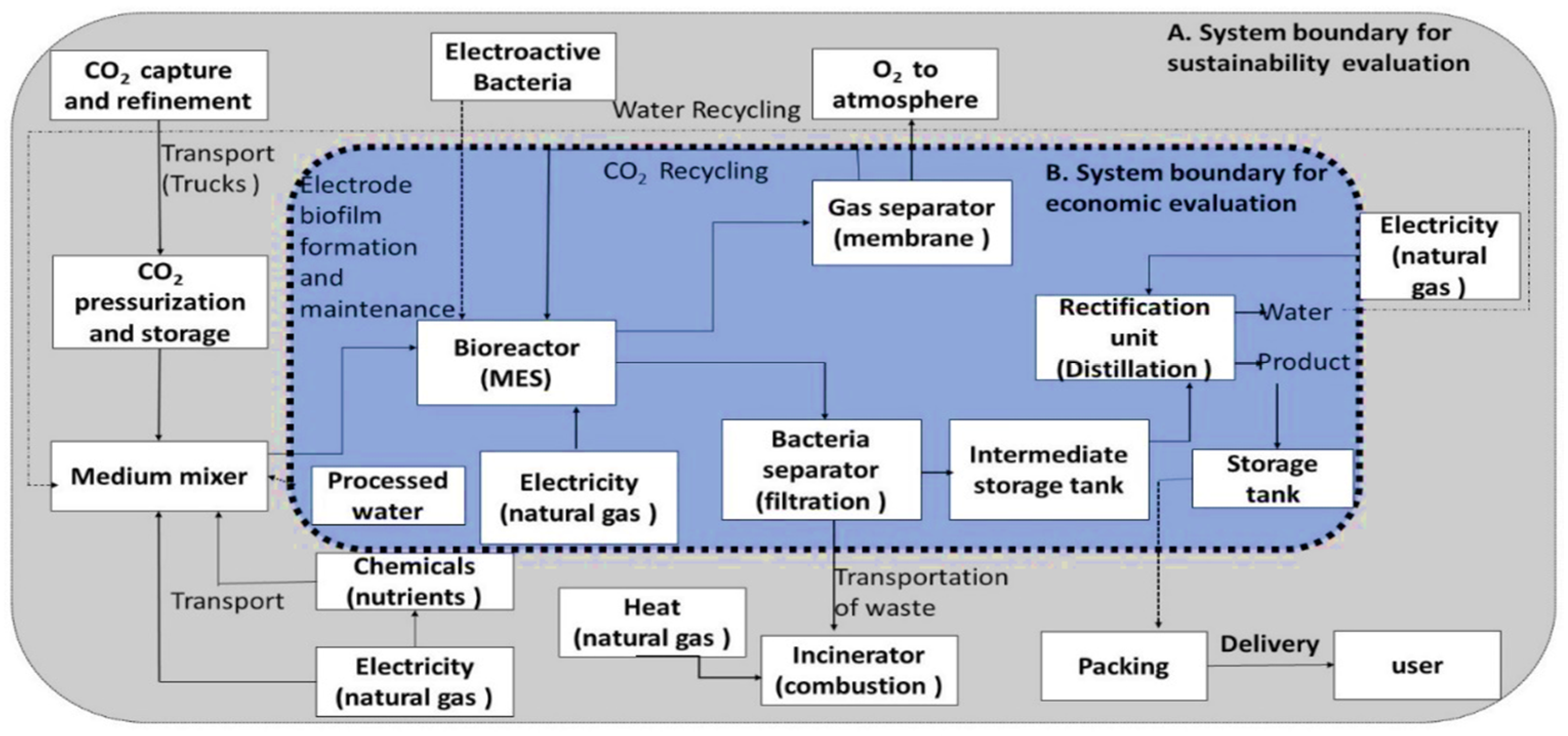 Fermentation 07 00291 g006