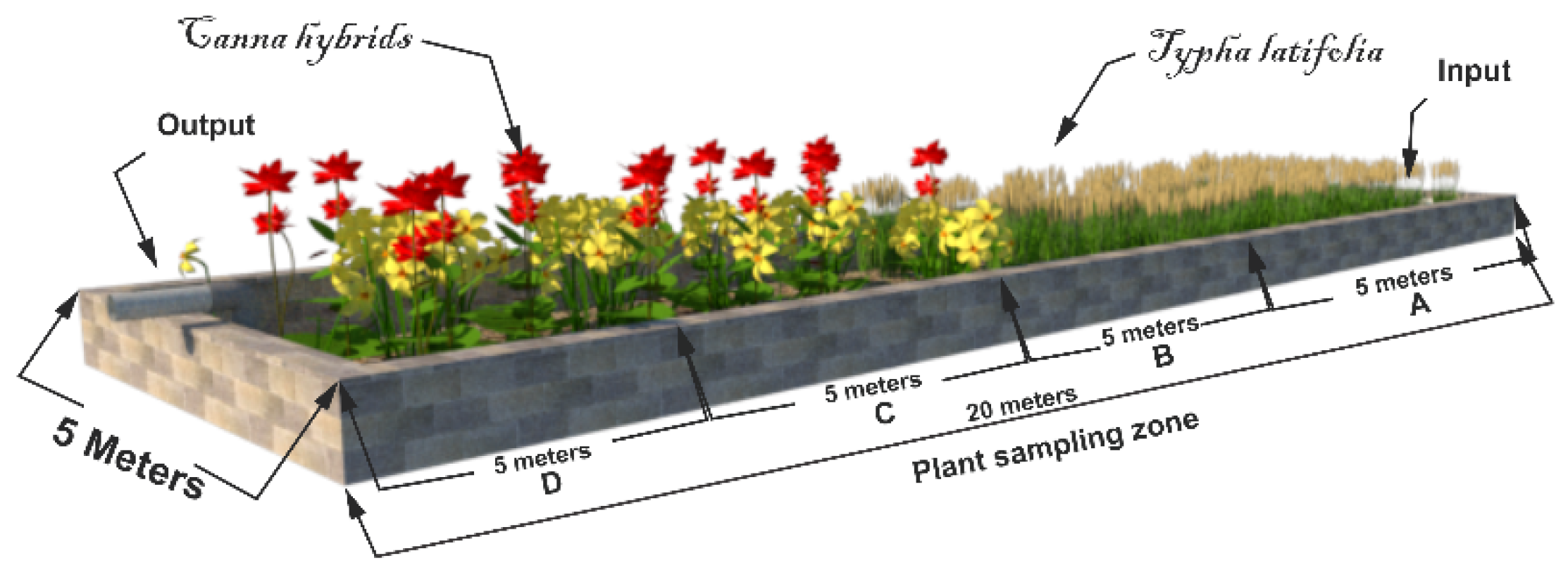 Fermentation 07 00296 g001