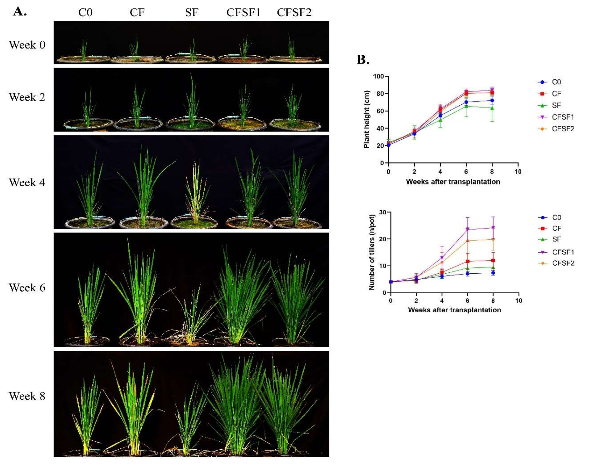 Fermentation 08 00046 g001