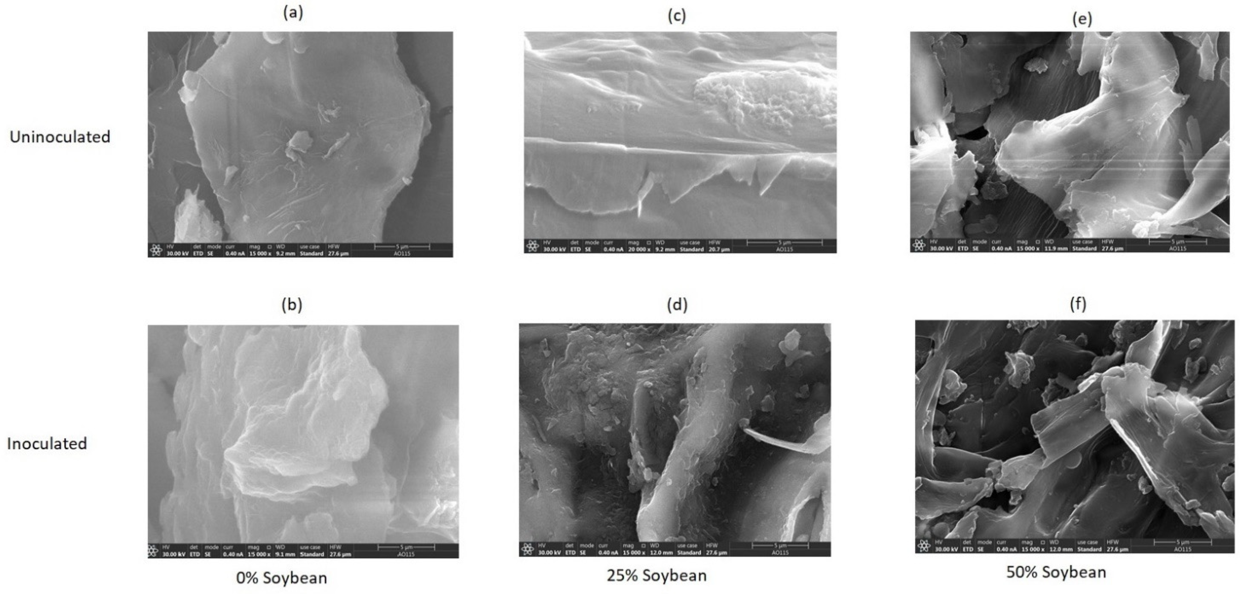 Fermentation 08 00070 g004