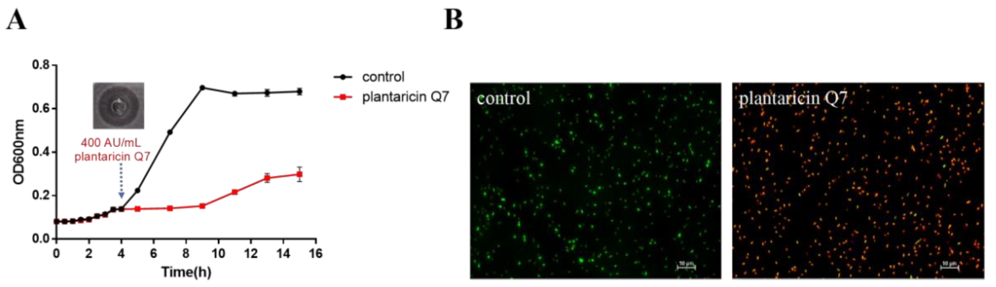 Fermentation 08 00075 g001