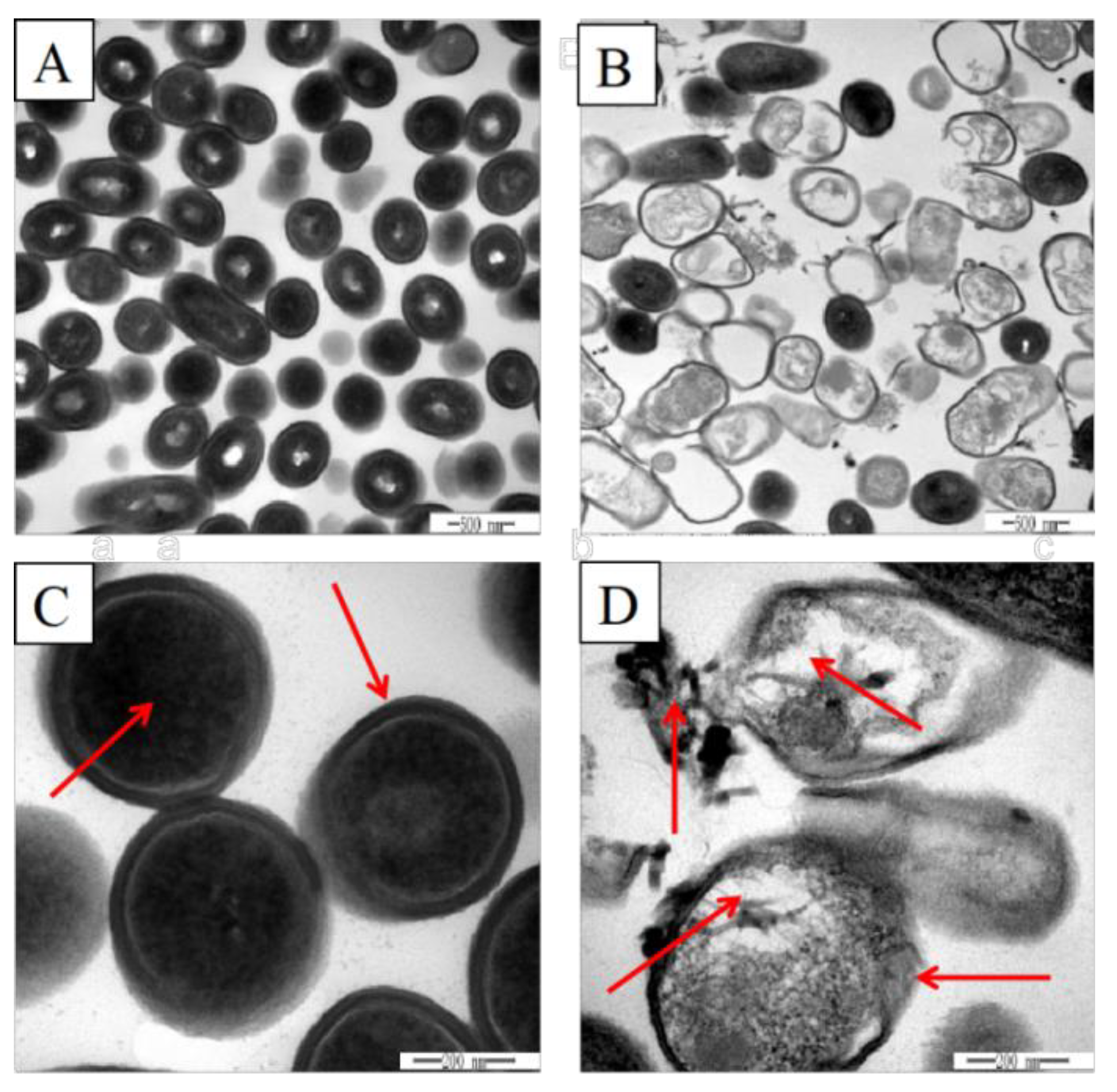 Fermentation 08 00075 g002