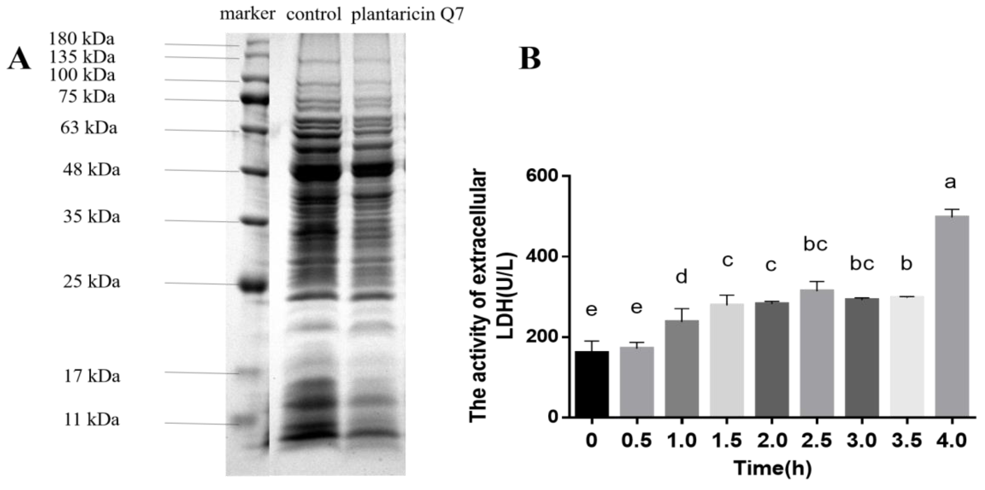 Fermentation 08 00075 g003