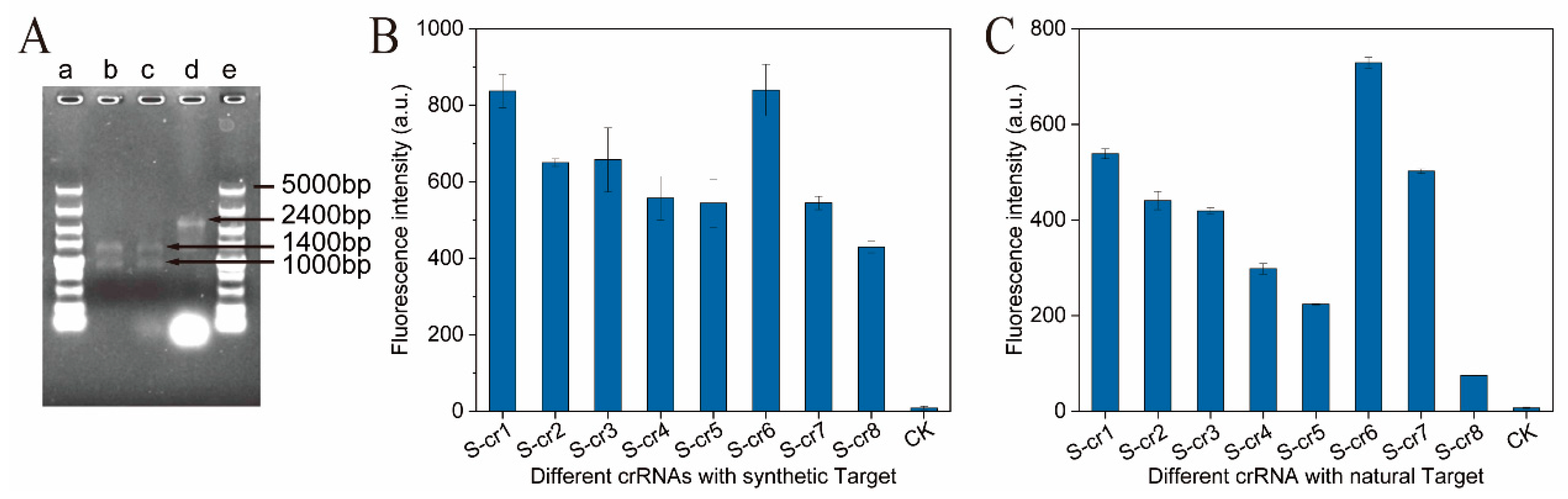 Fermentation 08 00088 g002