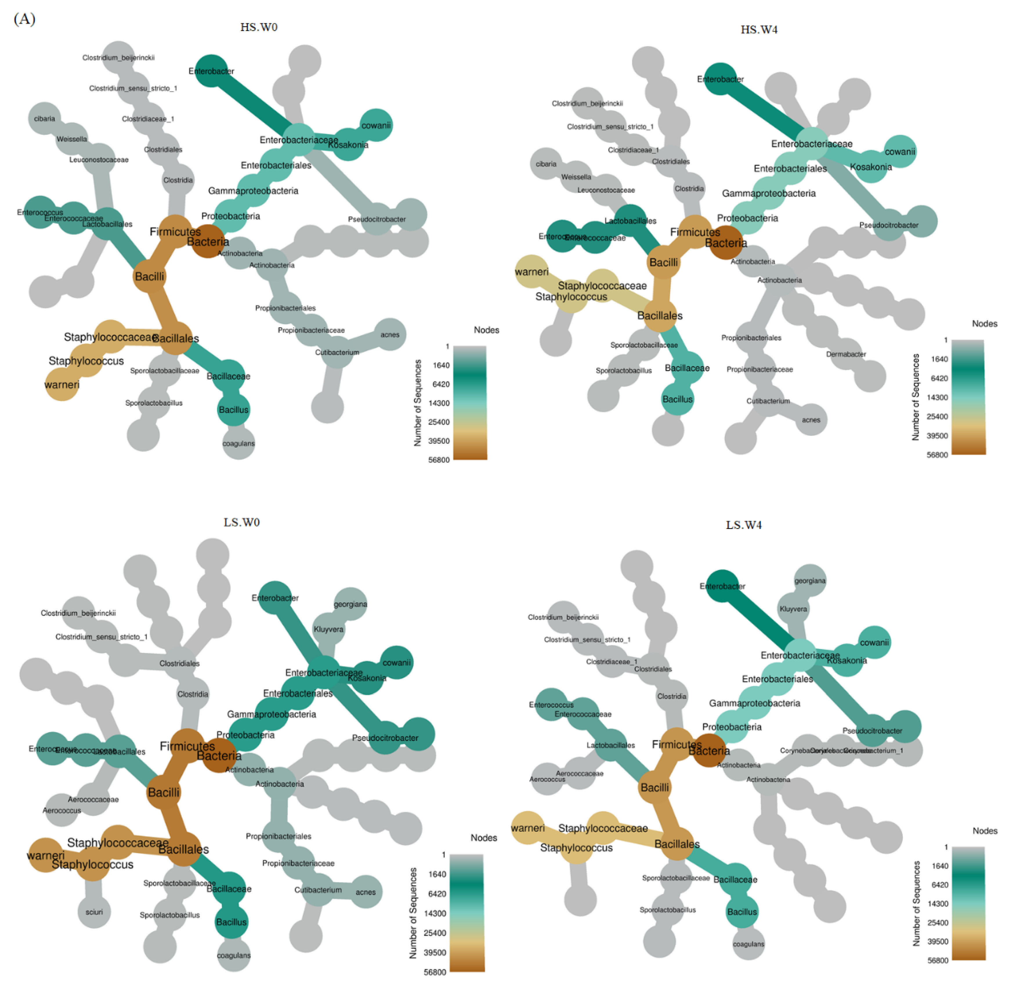 Fermentation 08 00097 g003a