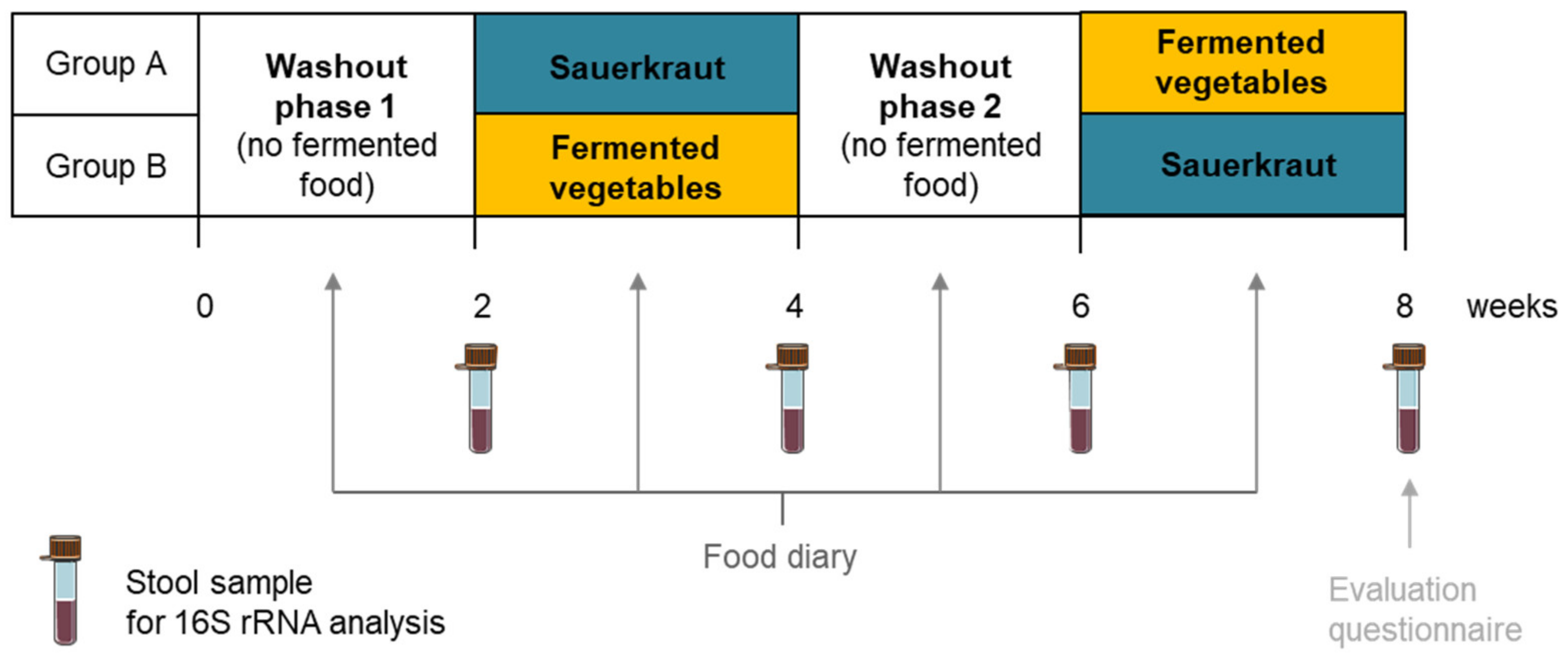 Fermentation 08 00118 g001