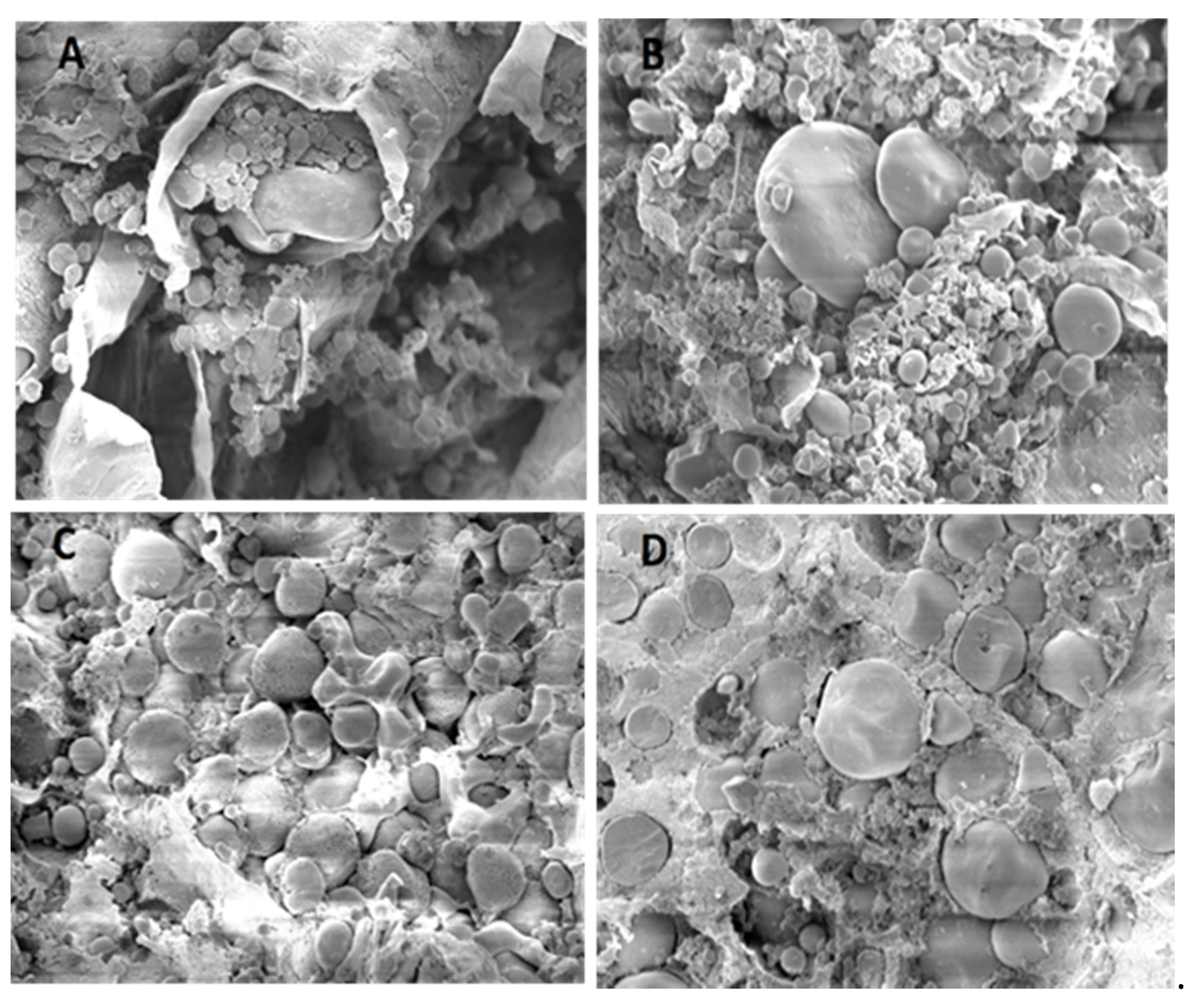 Fermentation 08 00155 g003