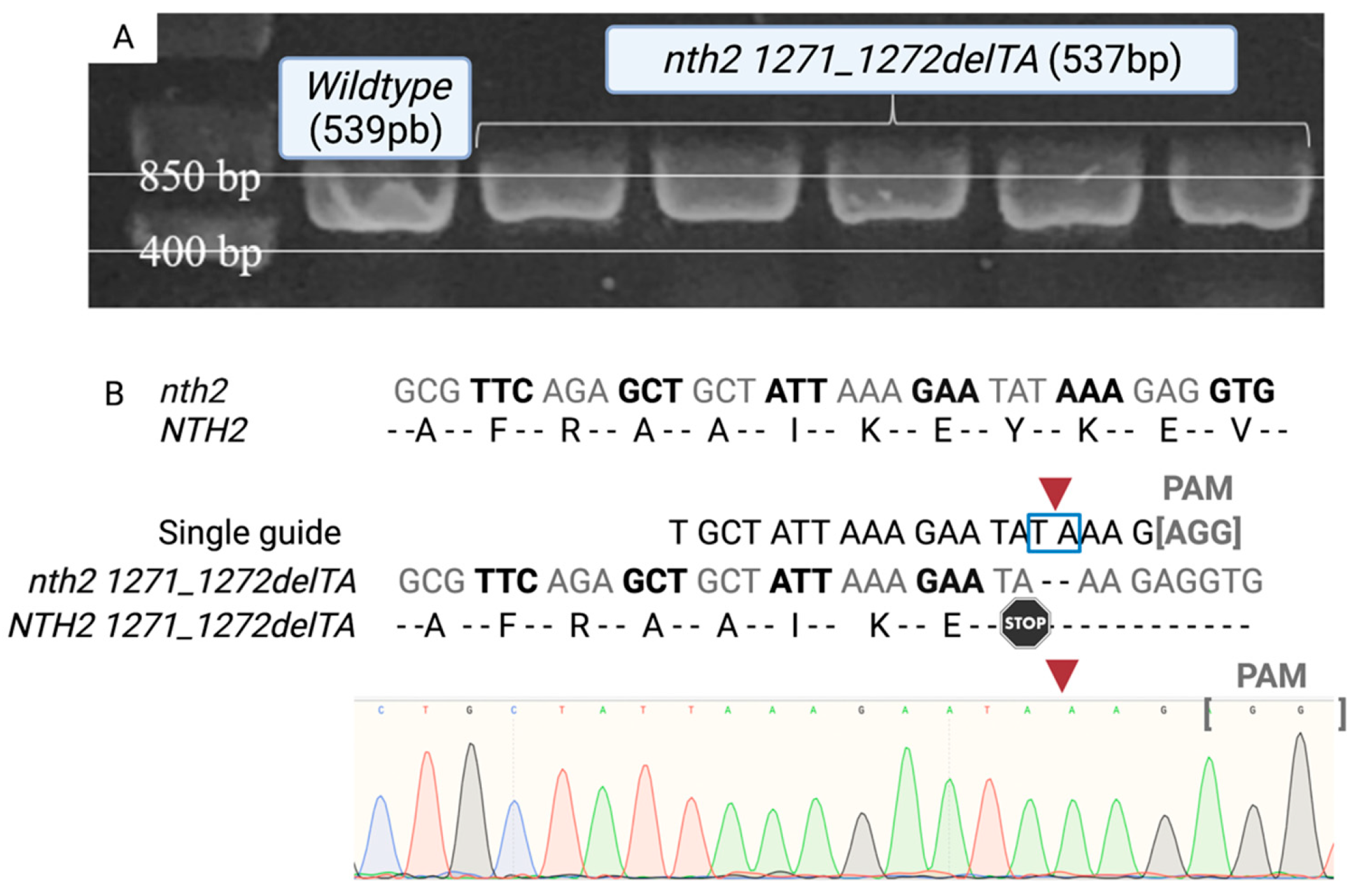 Fermentation 08 00166 g001 Fermentation 08 00166 g001