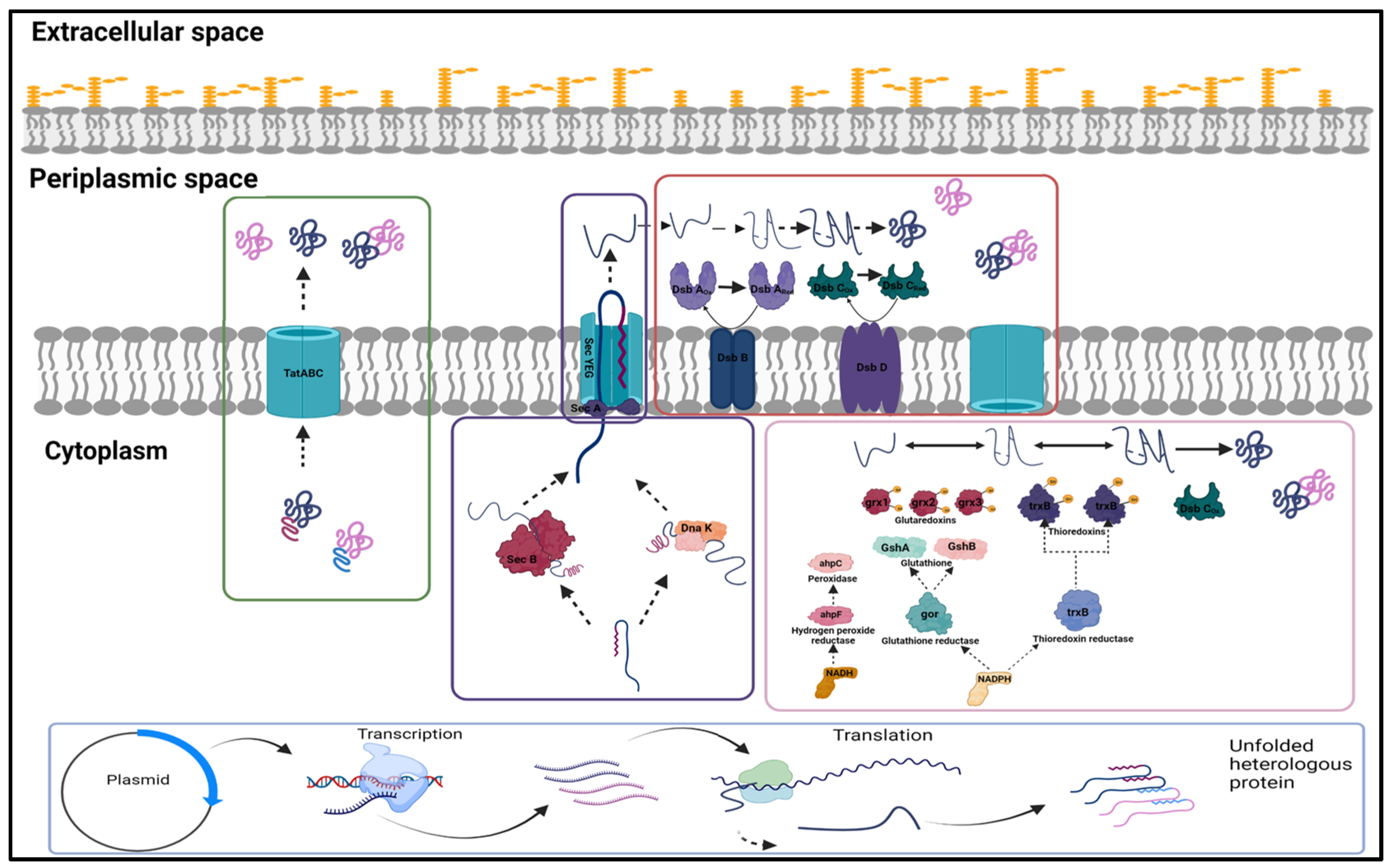 Fermentation 08 00175 g001
