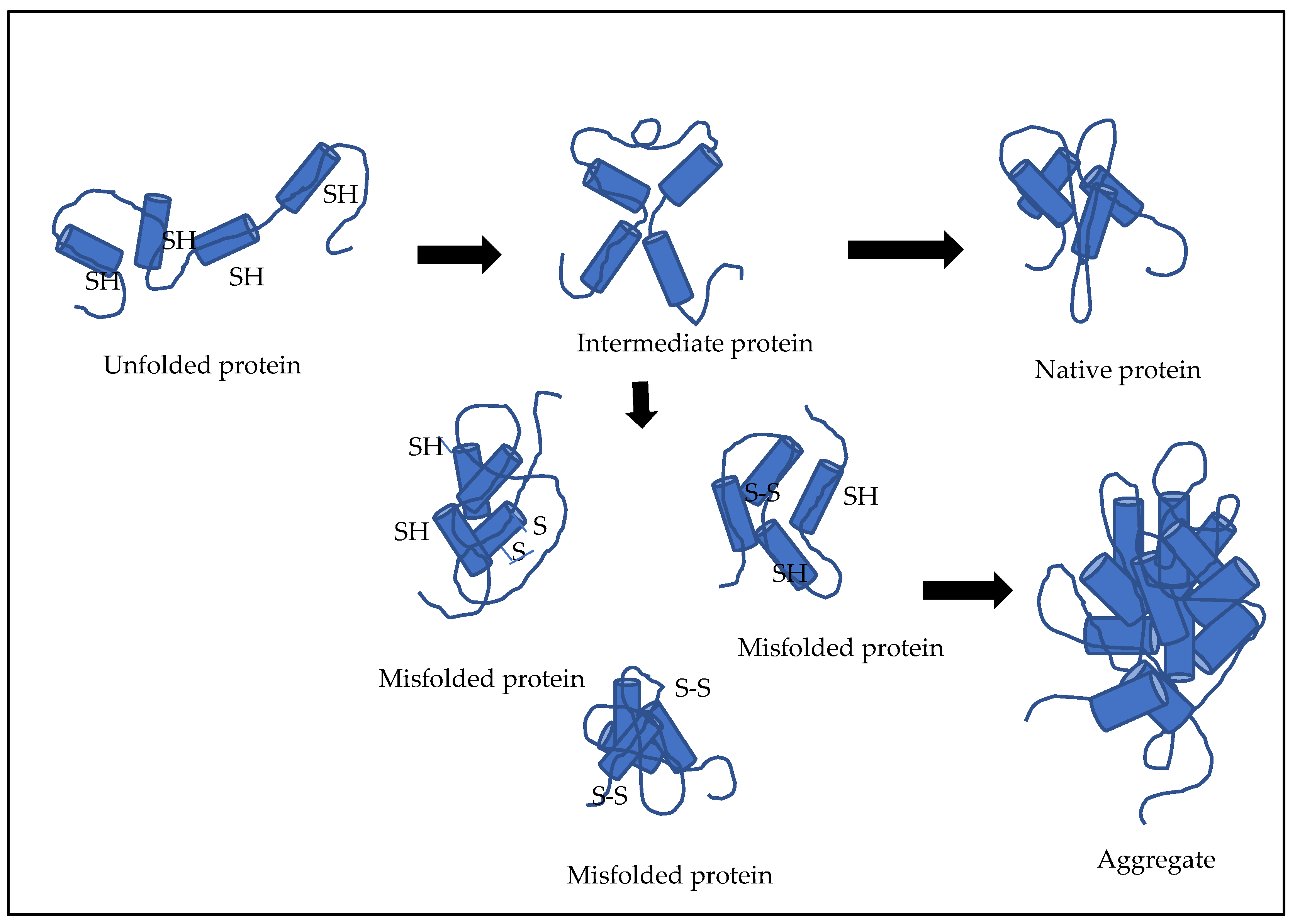 Fermentation 08 00175 g002