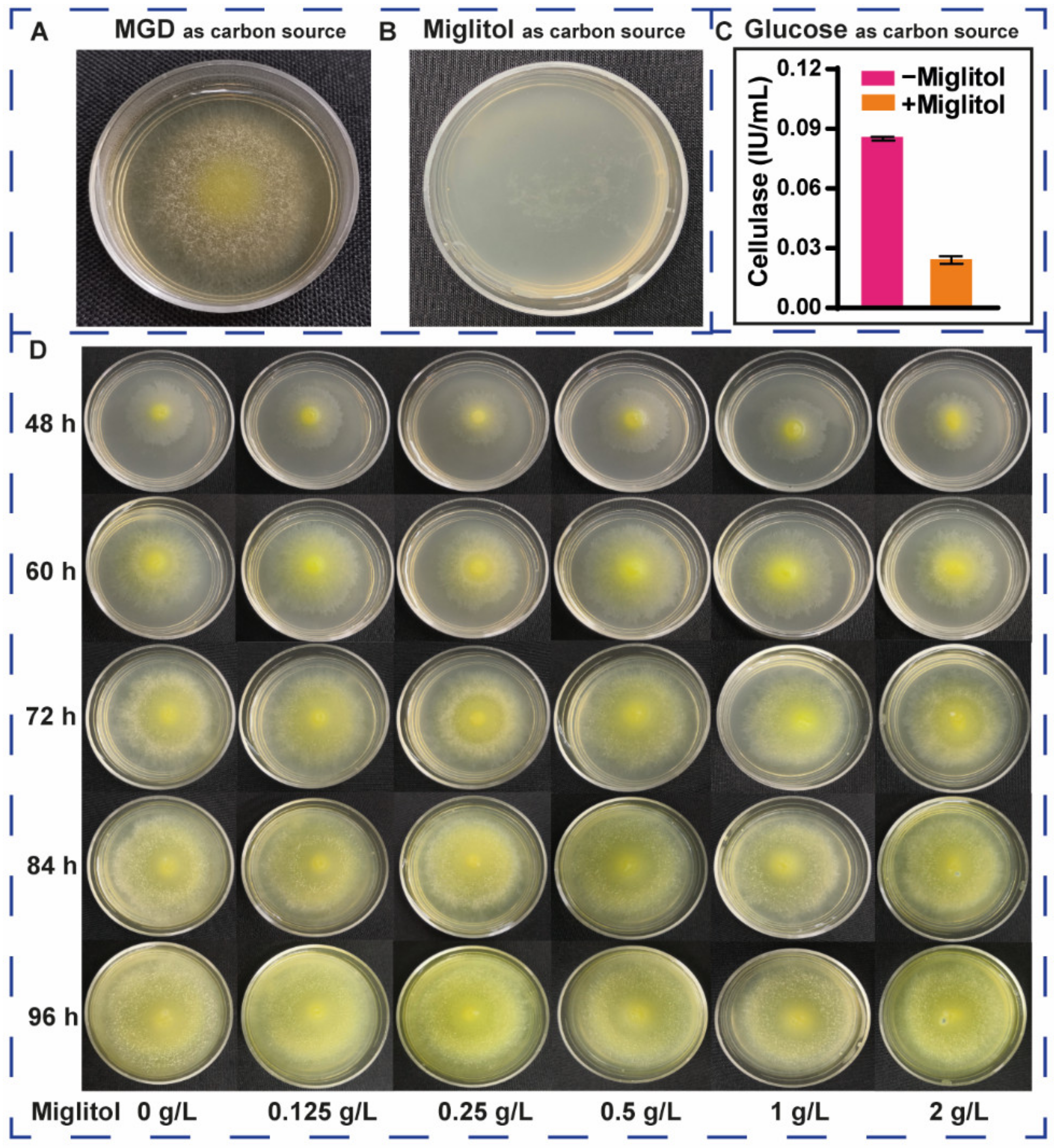 Fermentation 08 00232 g004