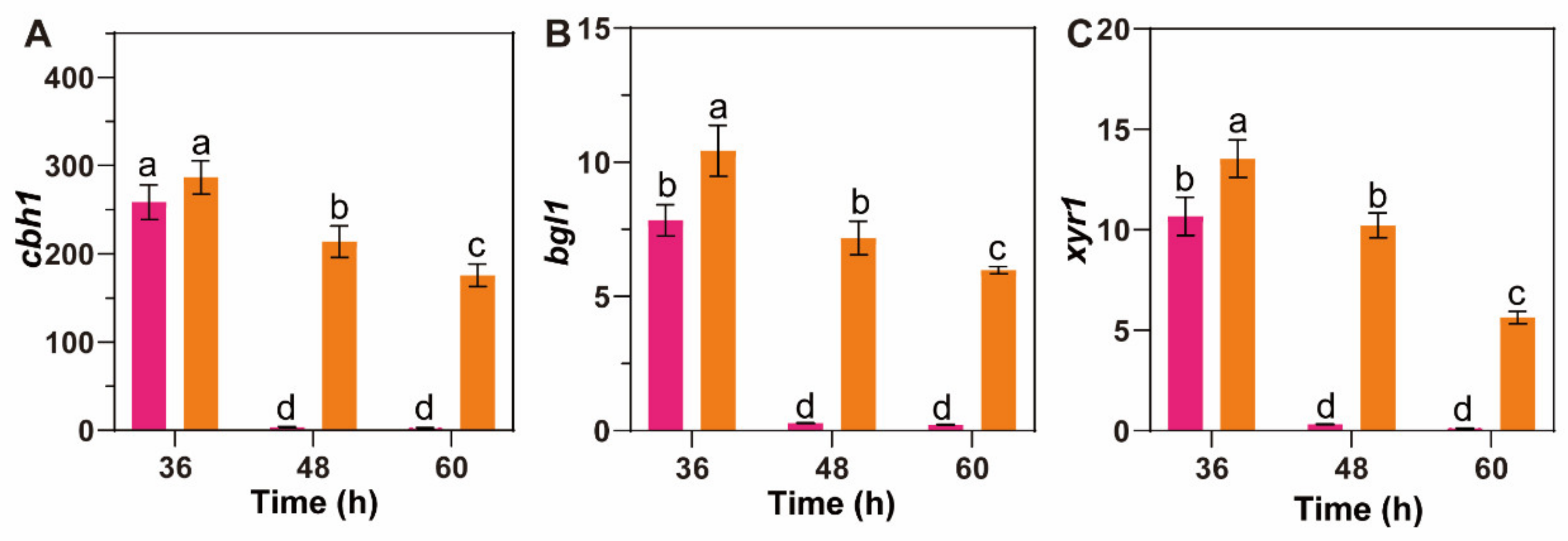 Fermentation 08 00232 g007