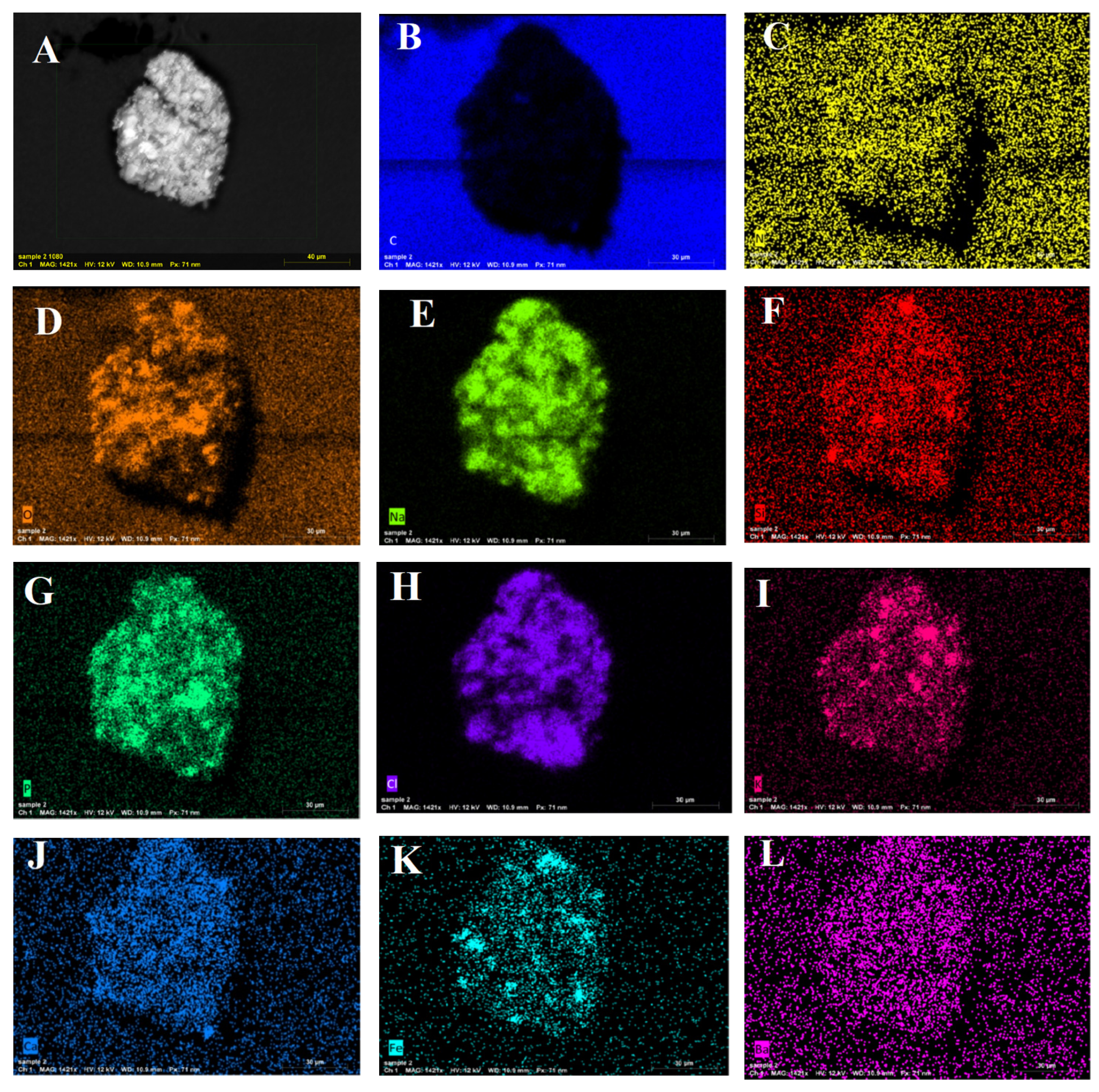 Fermentation 08 00241 g007