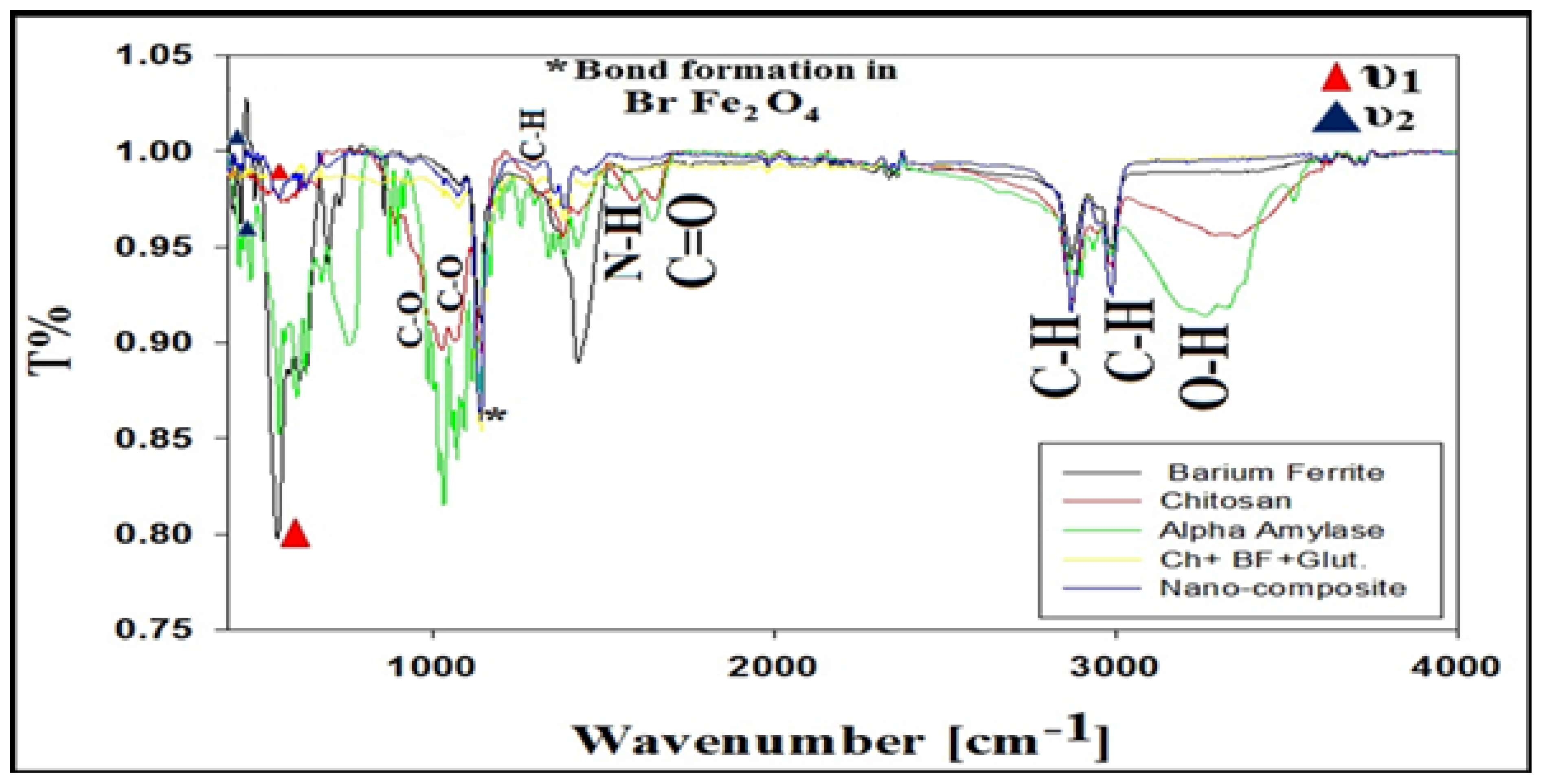 Fermentation 08 00241 g008