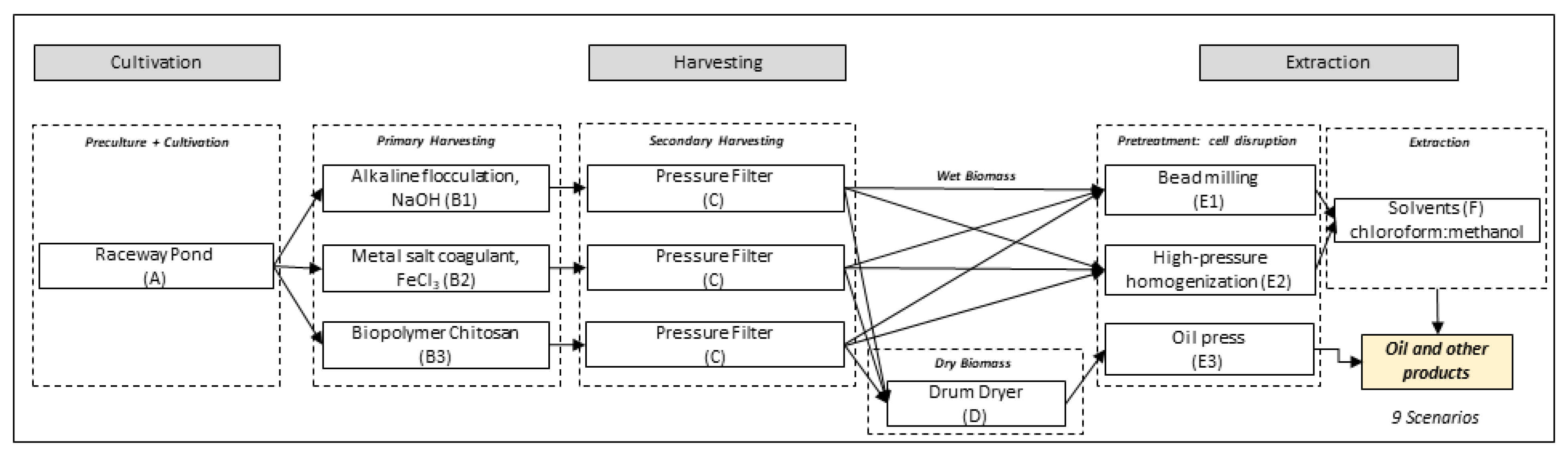 Fermentation 08 00301 g001