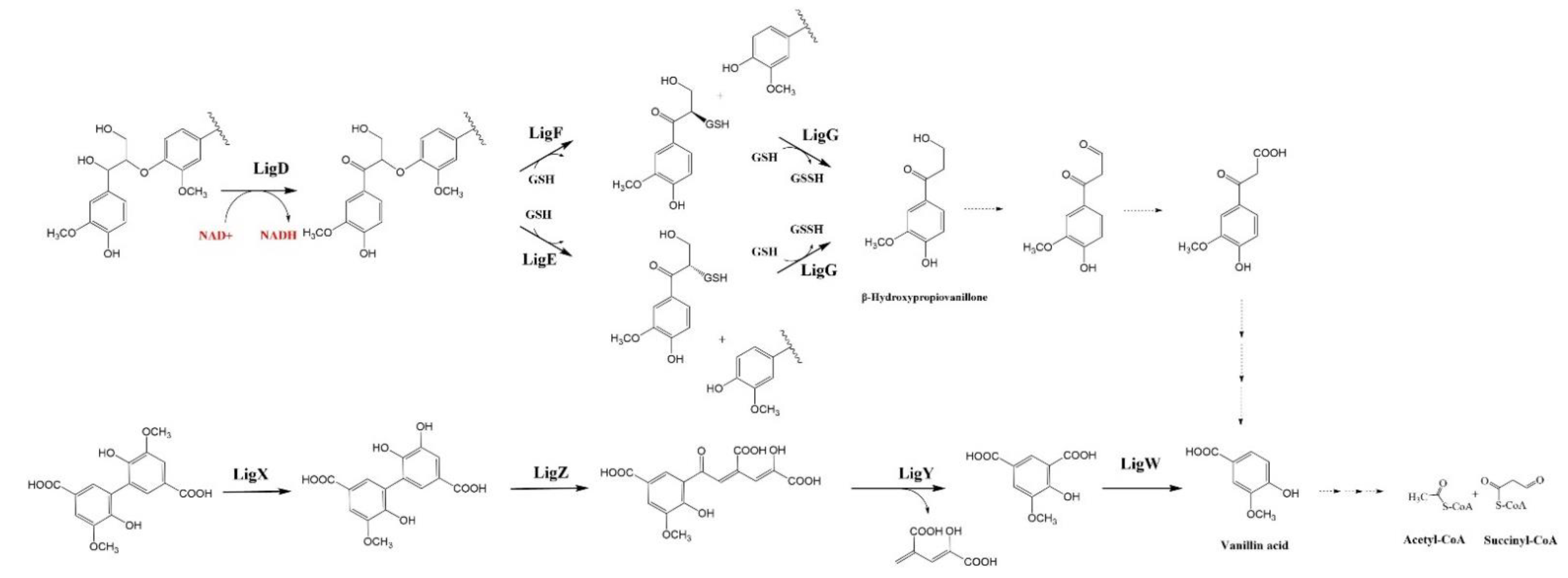 Fermentation 08 00366 g004