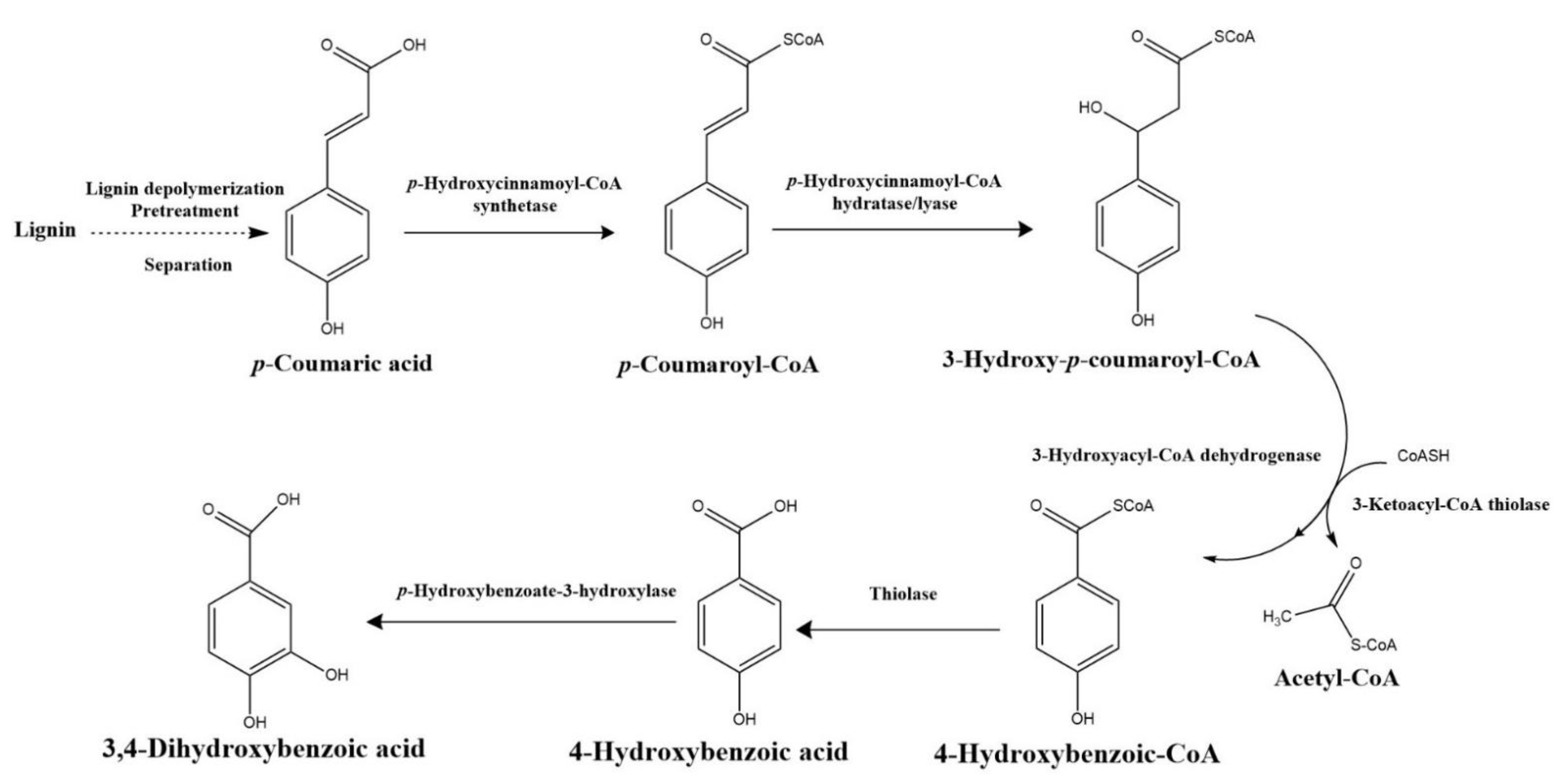 Fermentation 08 00366 g007
