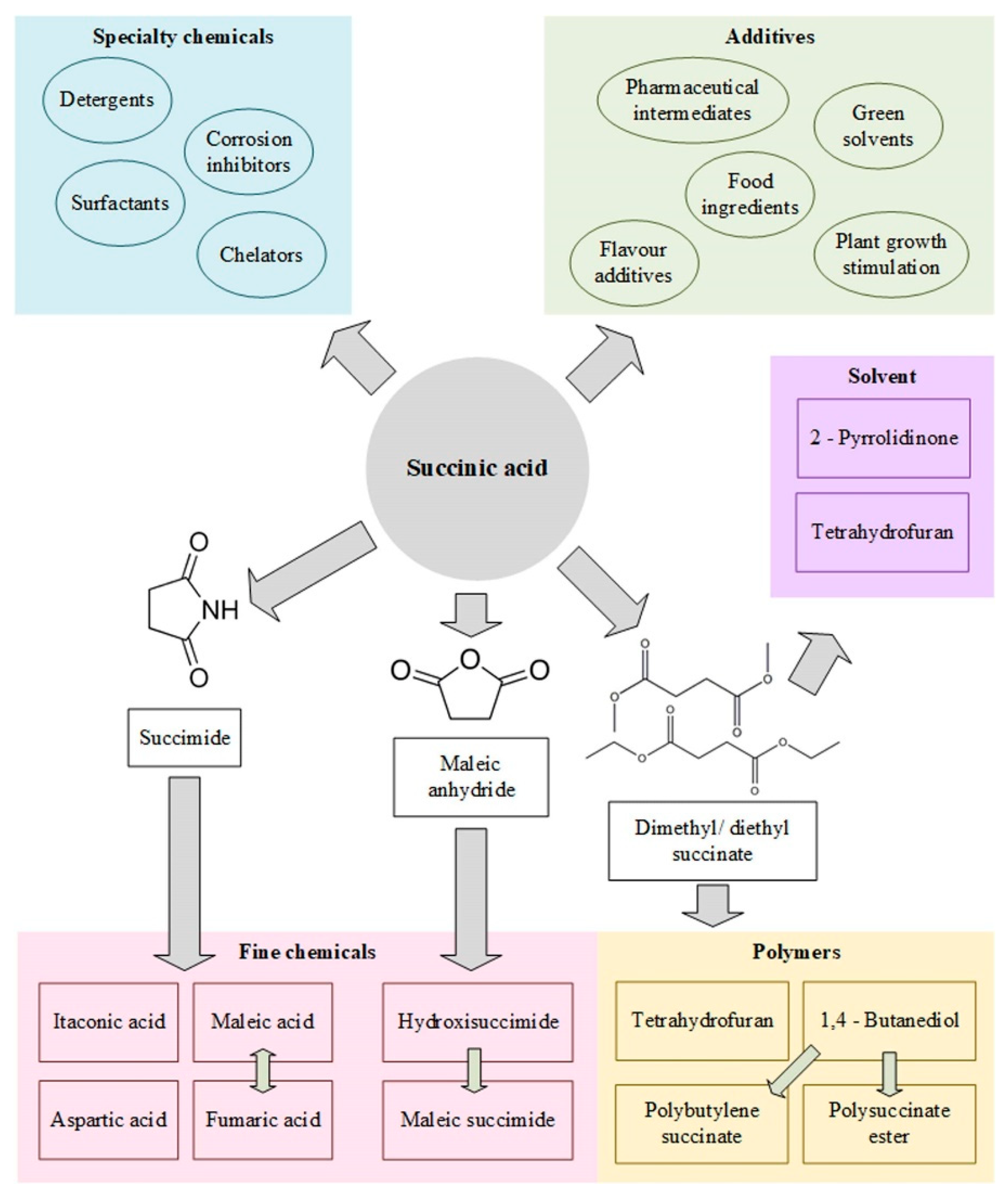 Fermentation | Free Full-Text | Modeling the Succinic Acid Bioprocess: A  Review