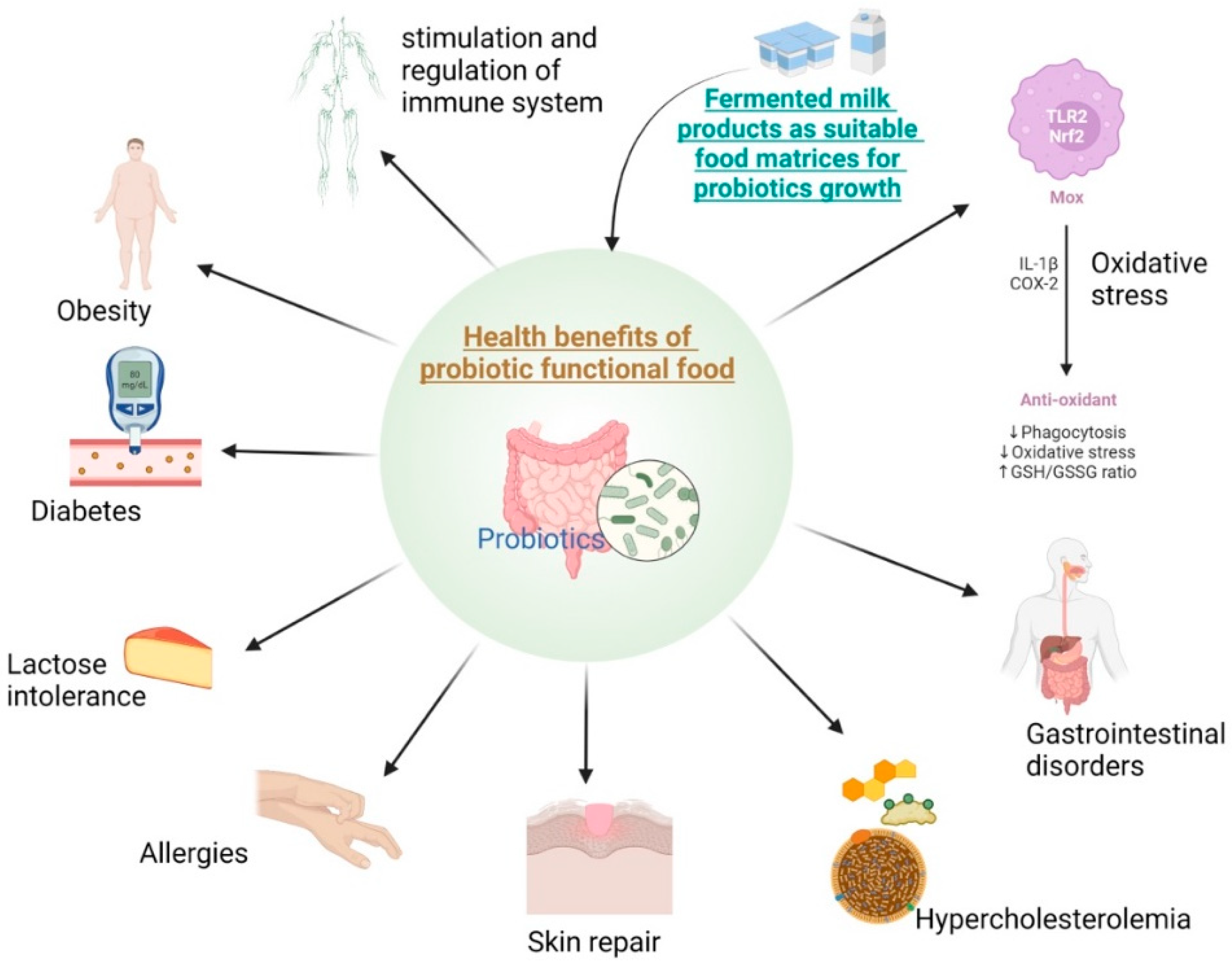Fermentation | Free Full-Text | Dairy-Based Probiotic-Fermented Functional  Foods: An Update on Their Health-Promoting Properties