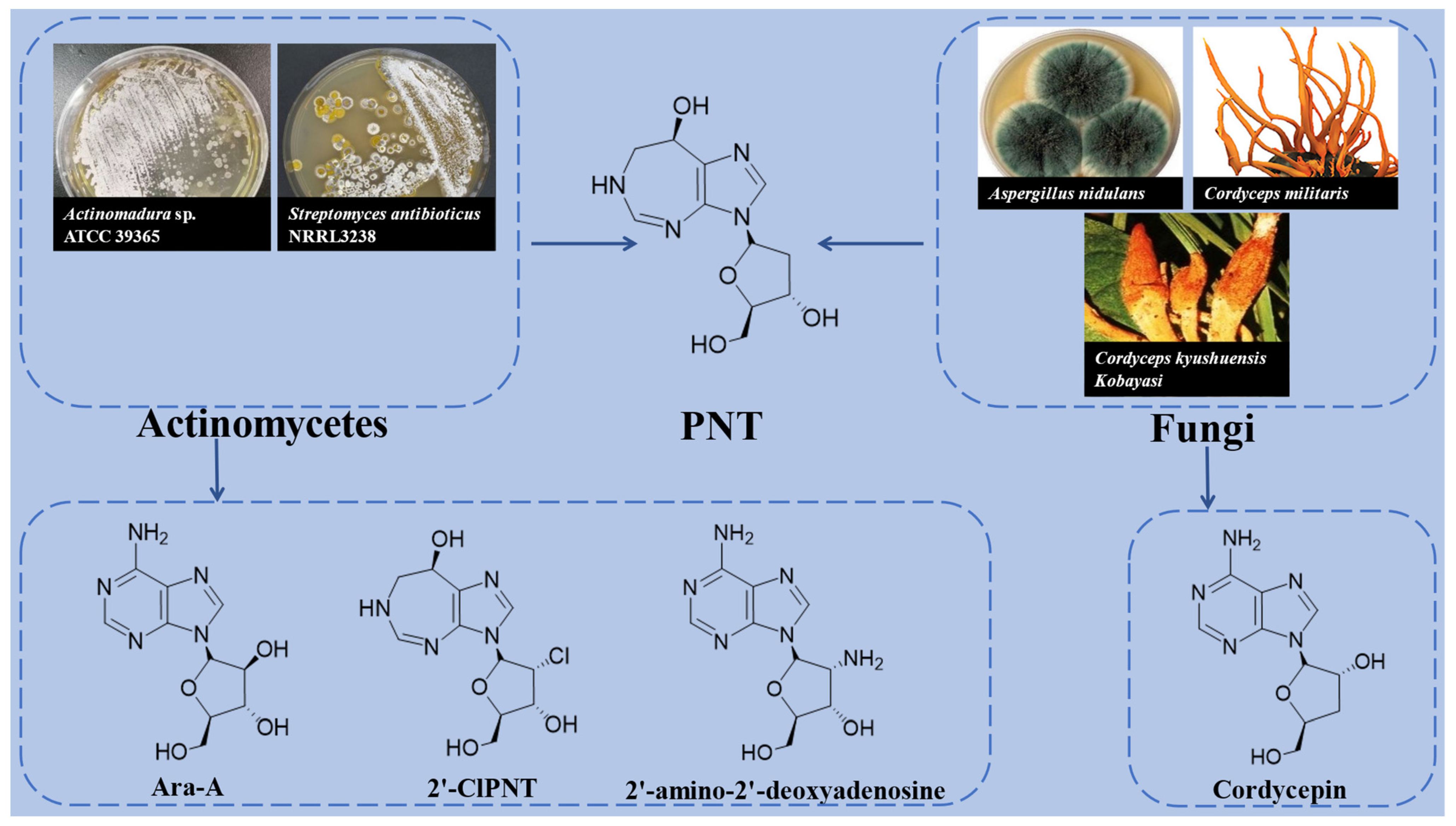 Fermentation 08 00459 g001 Fermentation 08 00459 g001