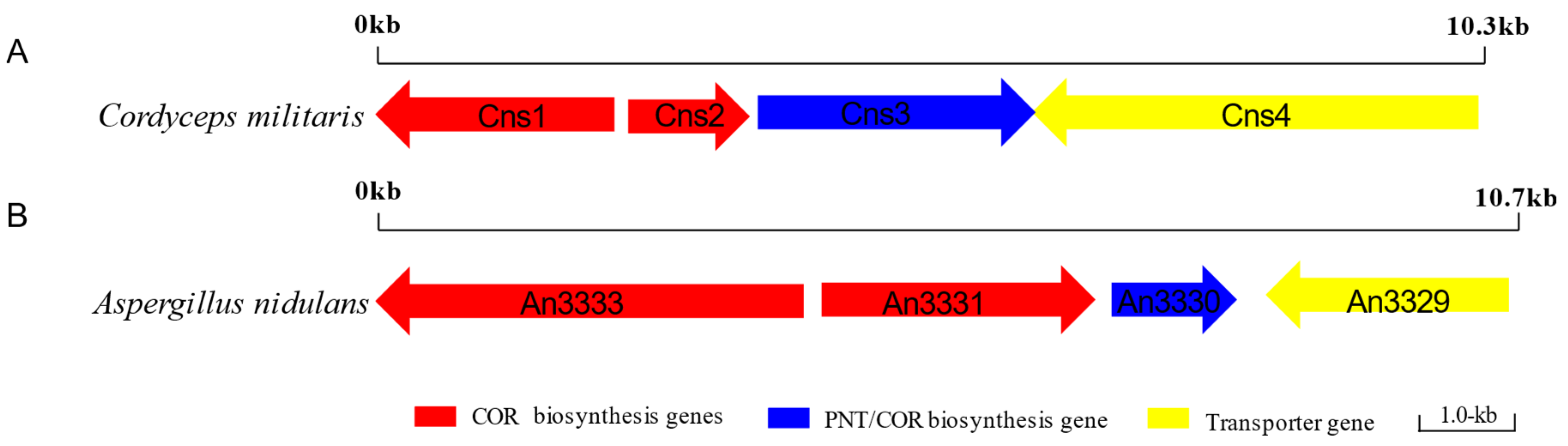 Fermentation 08 00459 g005 Fermentation 08 00459 g005