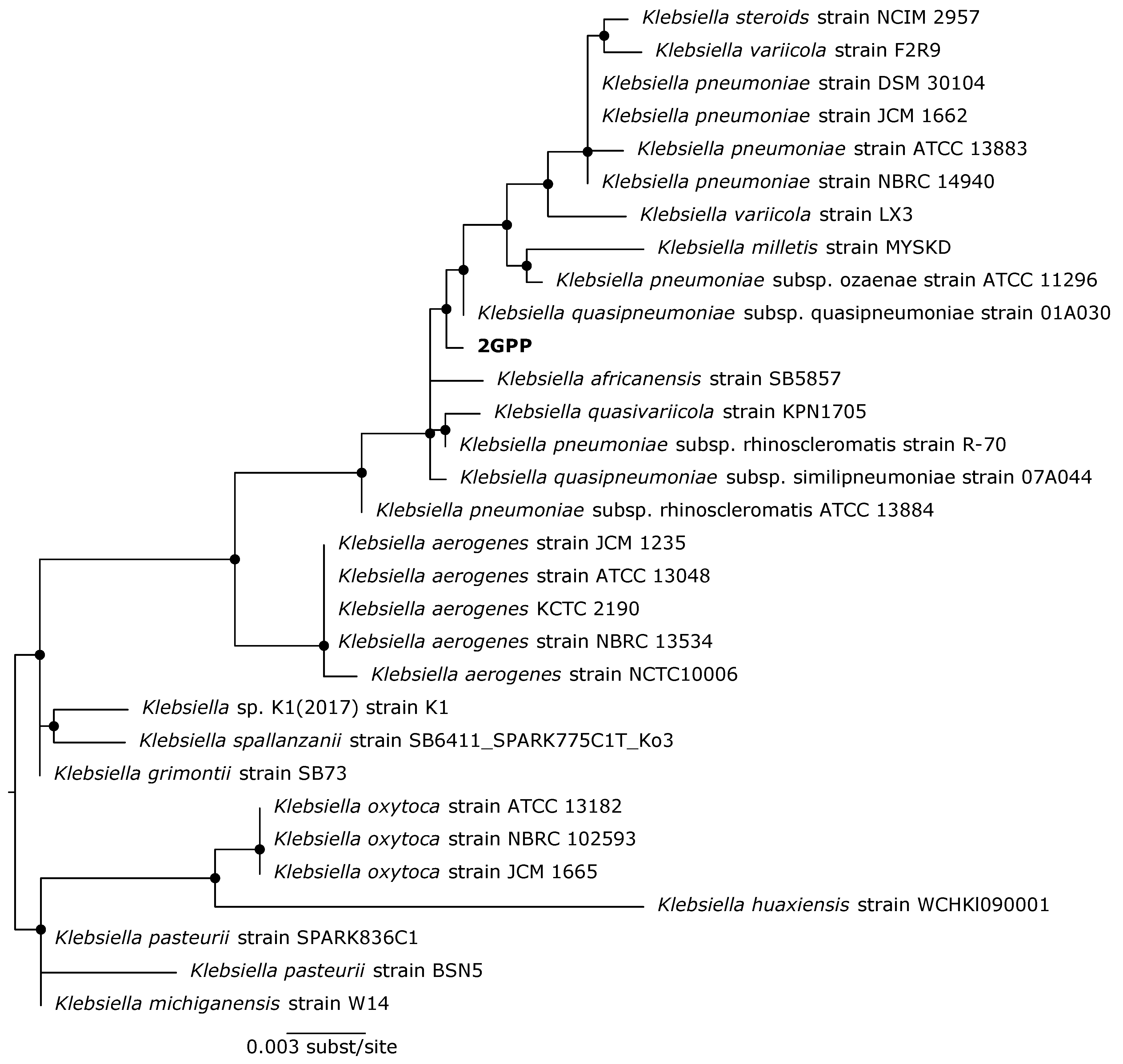 Fermentation 08 00477 g002