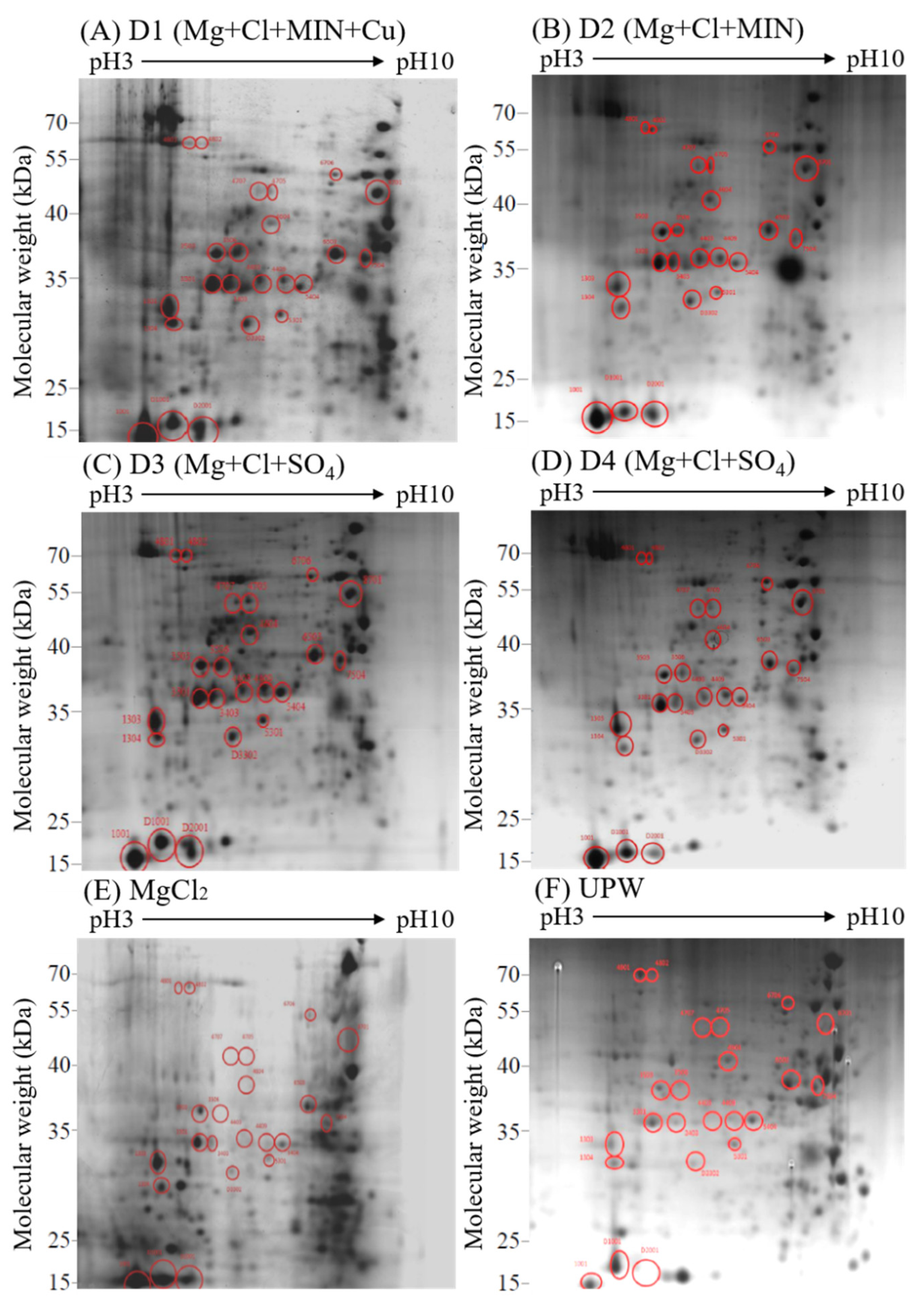 Fermentation 08 00481 g004 Fermentation 08 00481 g004