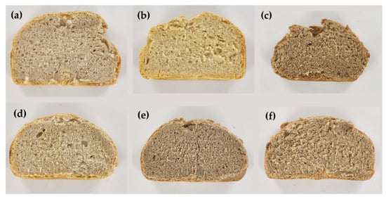 Enhancing Efficiency and Quality with an Automatic Bread-Slicing