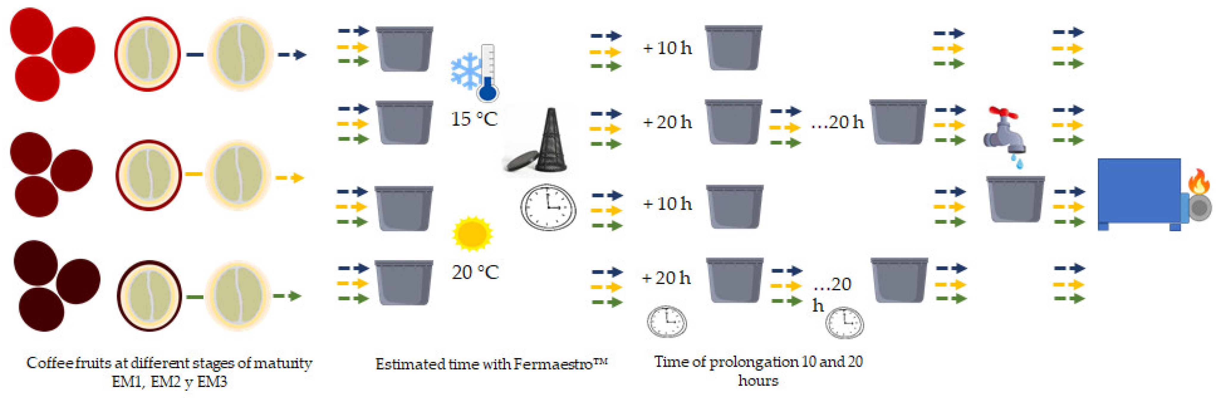 Fermentation, Free Full-Text