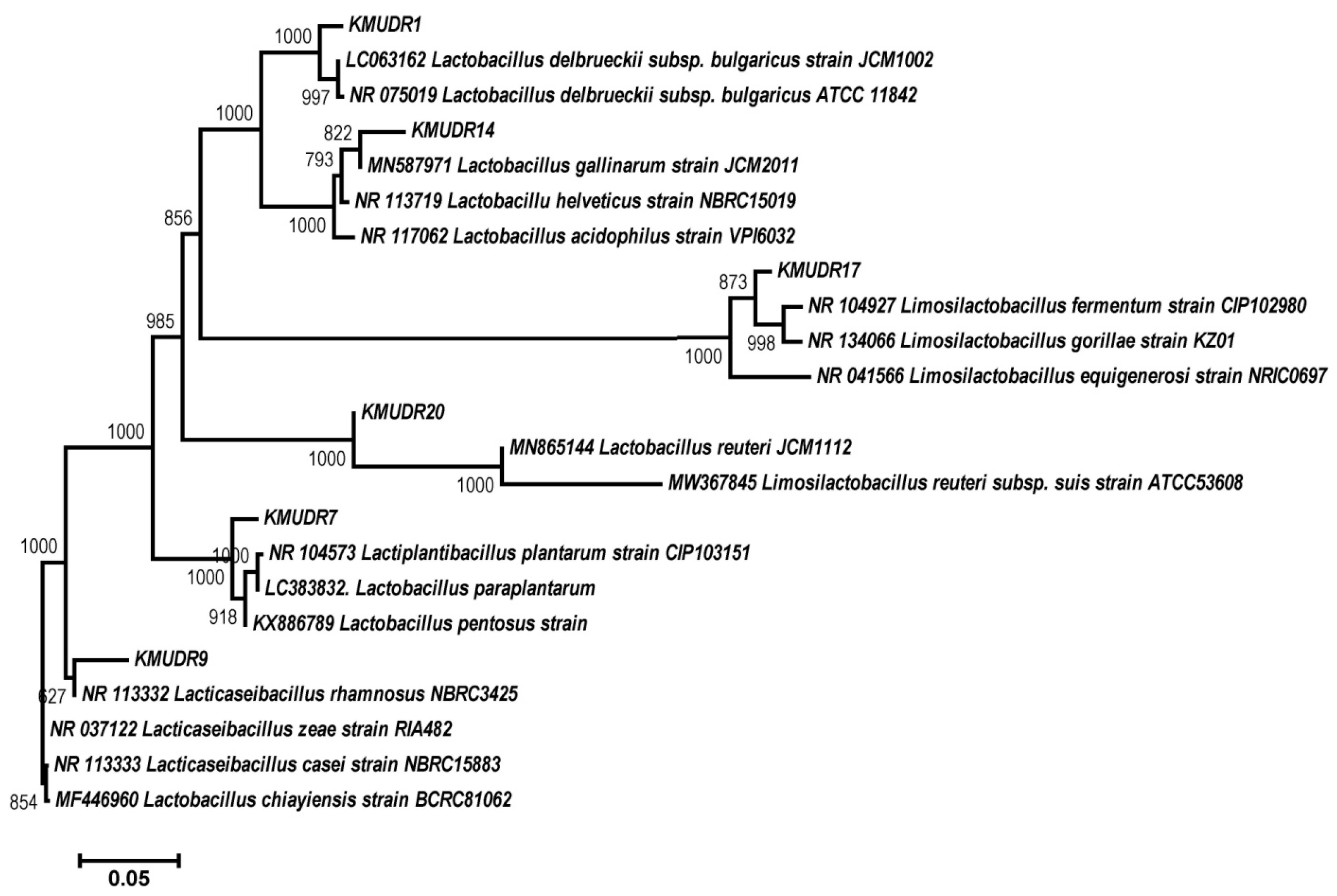 Fermentation 08 00529 g005
