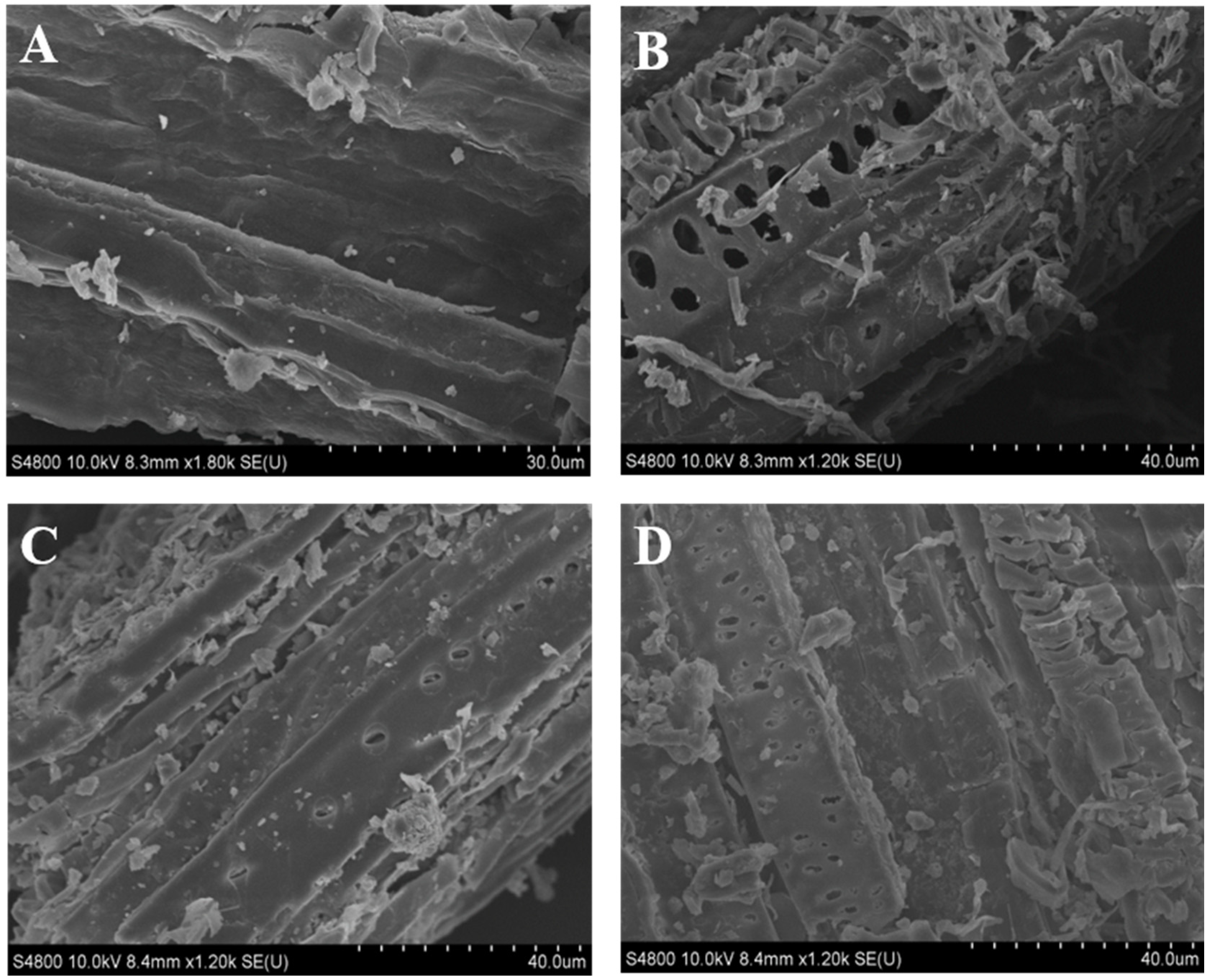 Fermentation 08 00557 g001 Fermentation 08 00557 g001