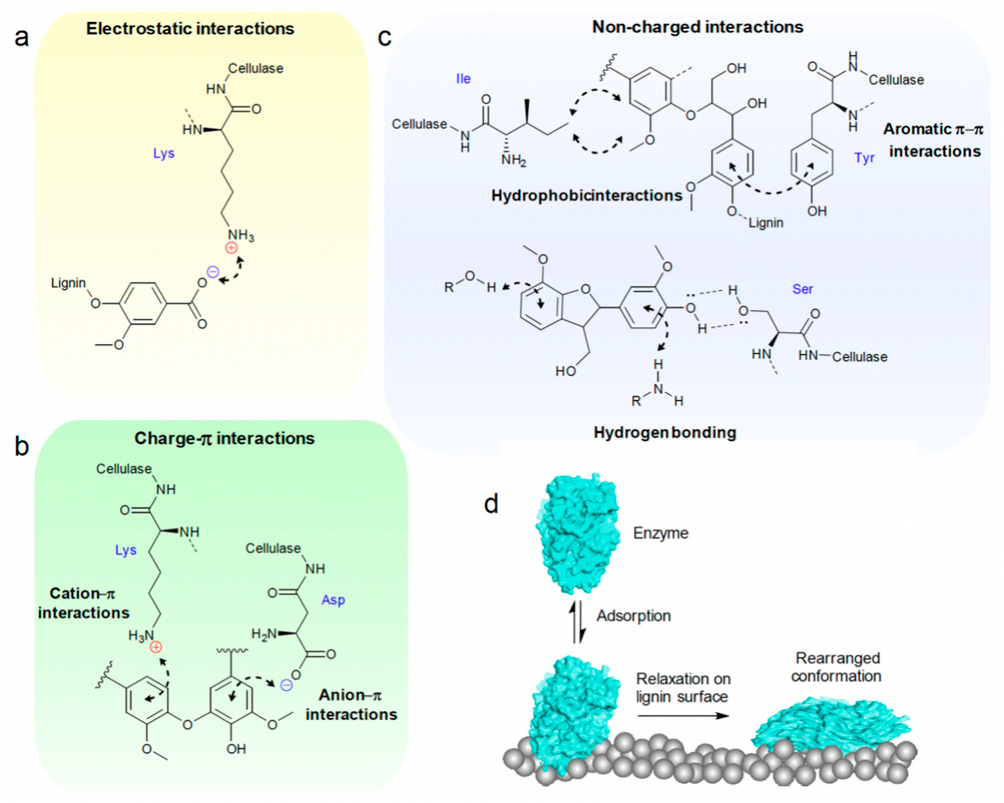 Fermentation 08 00558 g005