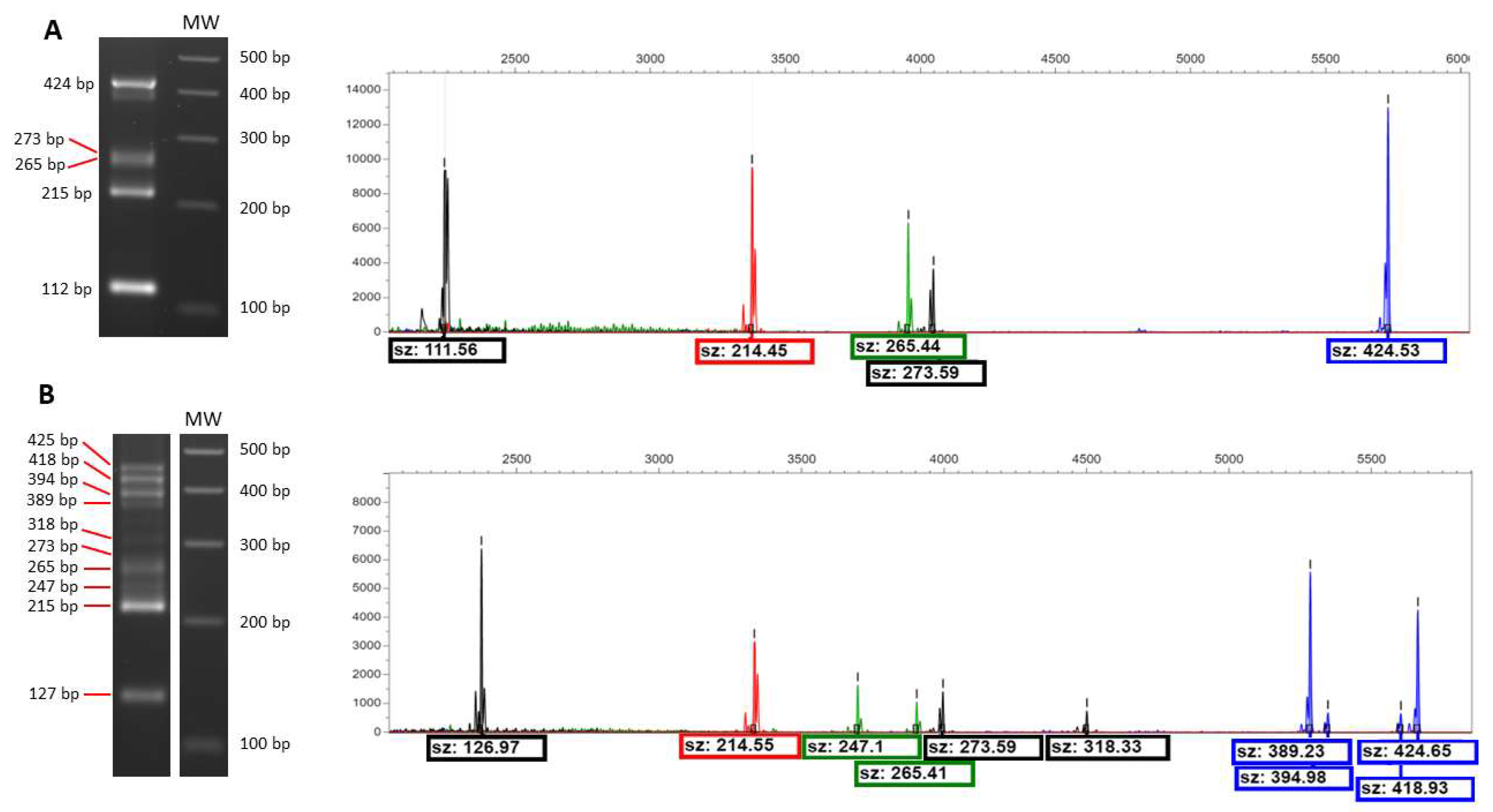 Fermentation 08 00569 g003