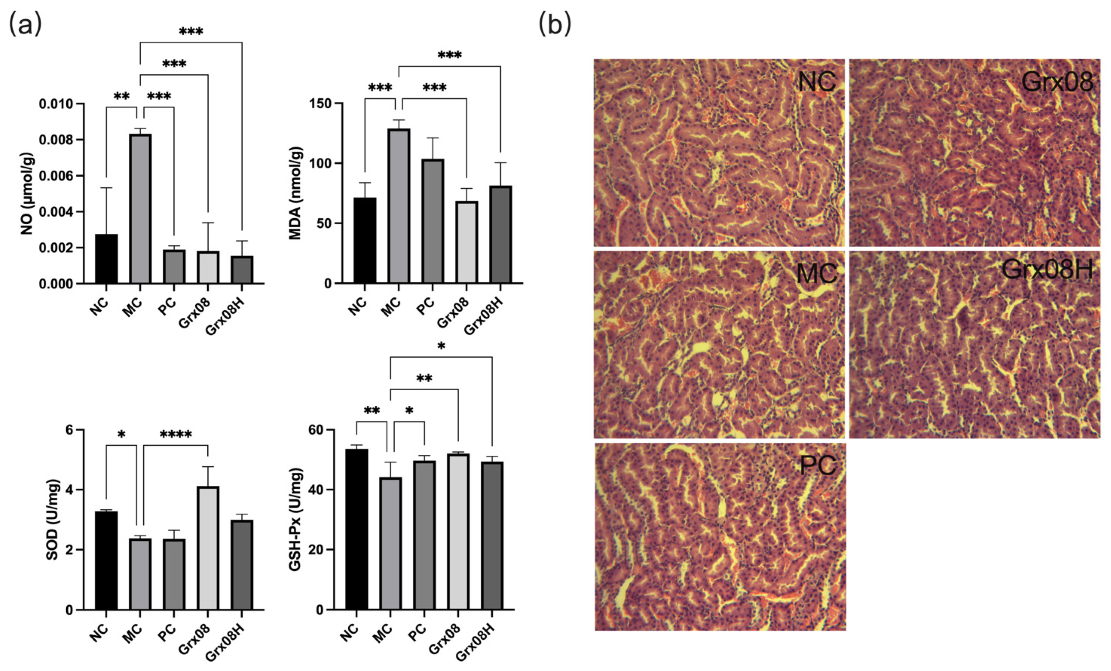Fermentation 08 00594 g004 Fermentation 08 00594 g004