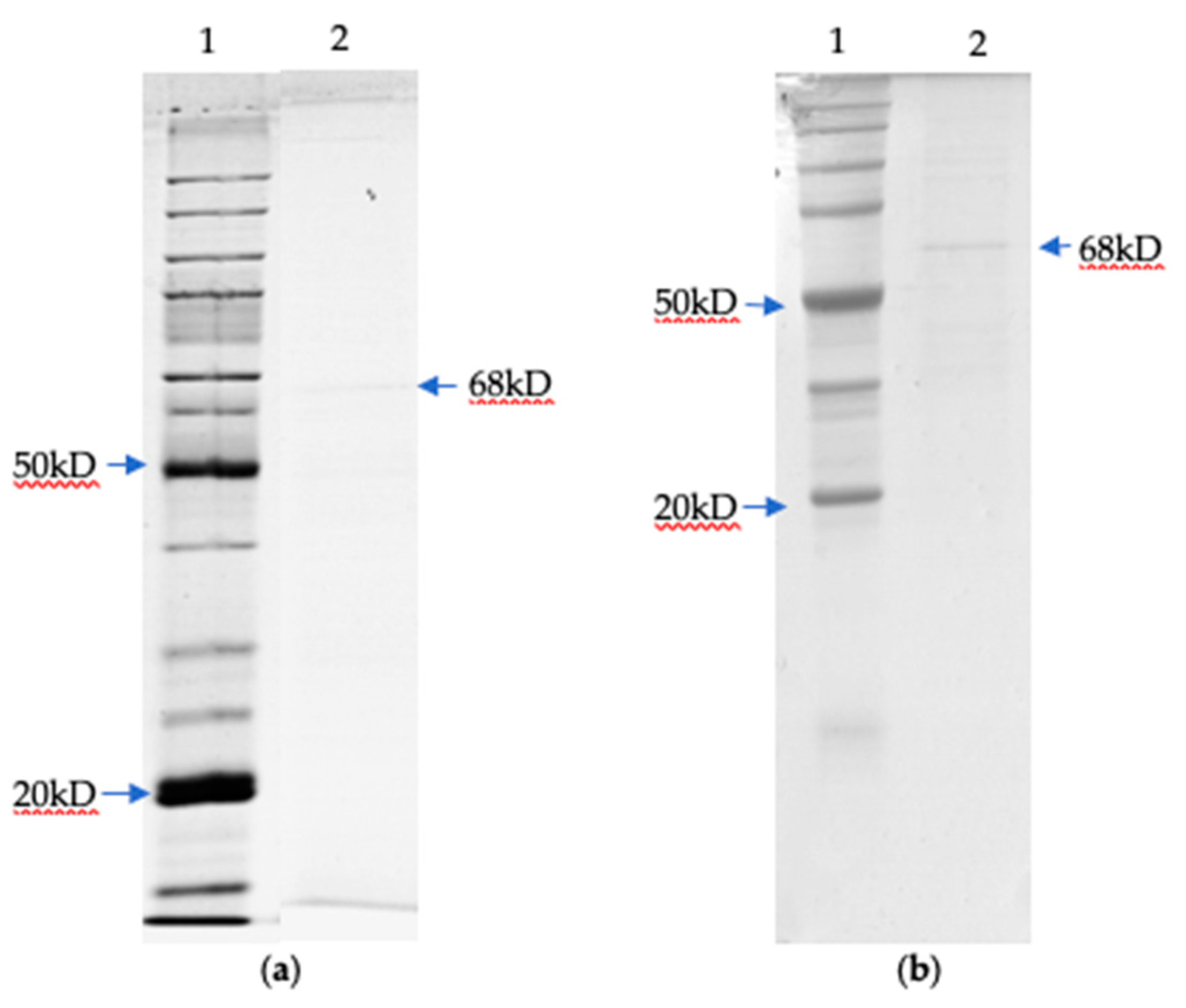 Fermentation 08 00601 g003