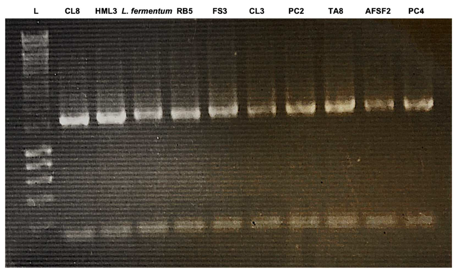 Fermentation 08 00612 g001 Fermentation 08 00612 g001
