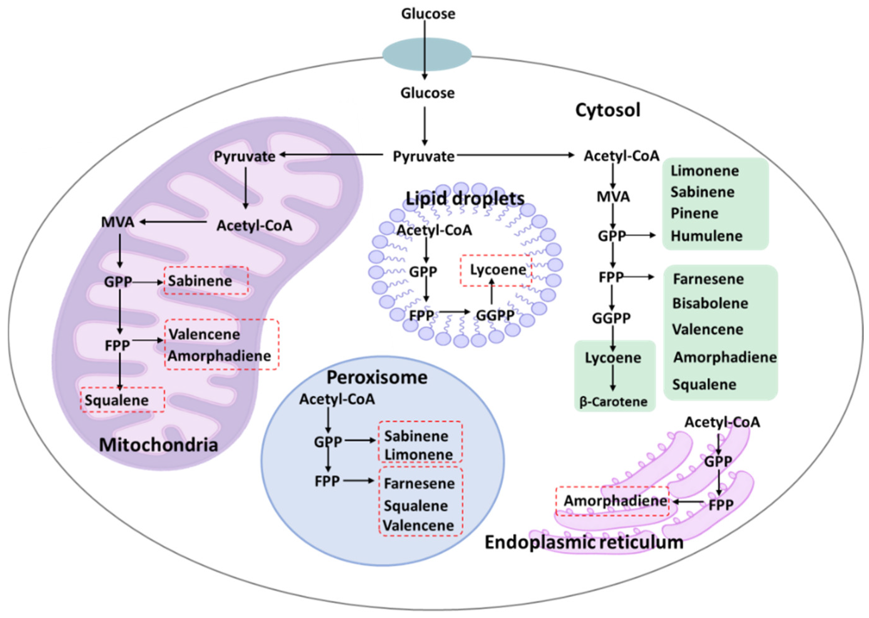 Fermentation 08 00615 g002