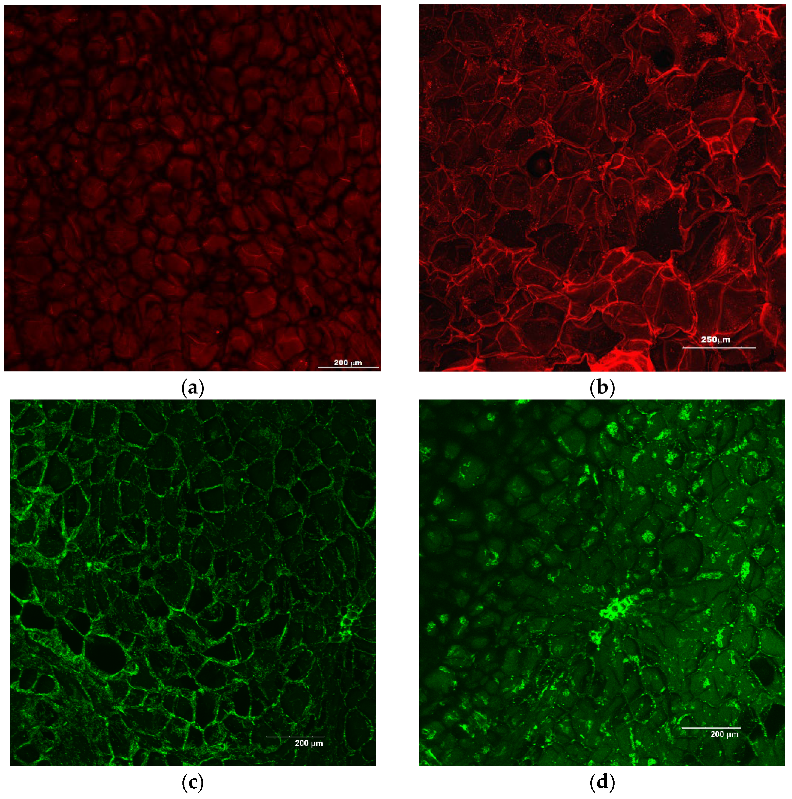 Fermentation 08 00659 g001a